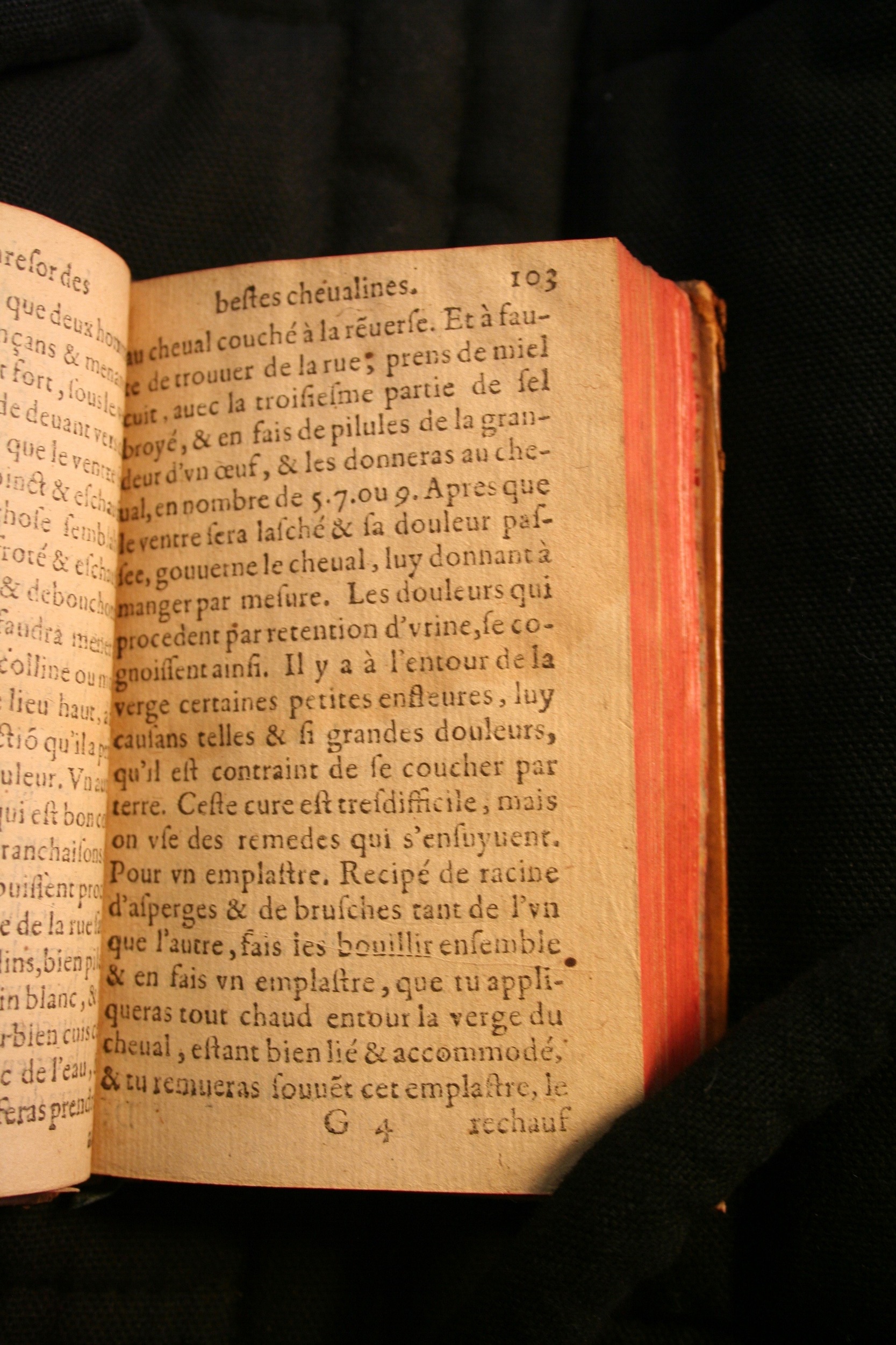 1591 - Pierre Chastaing et Benoît Rigaud - Trésor des bêtes chevalines - BM Bordeaux