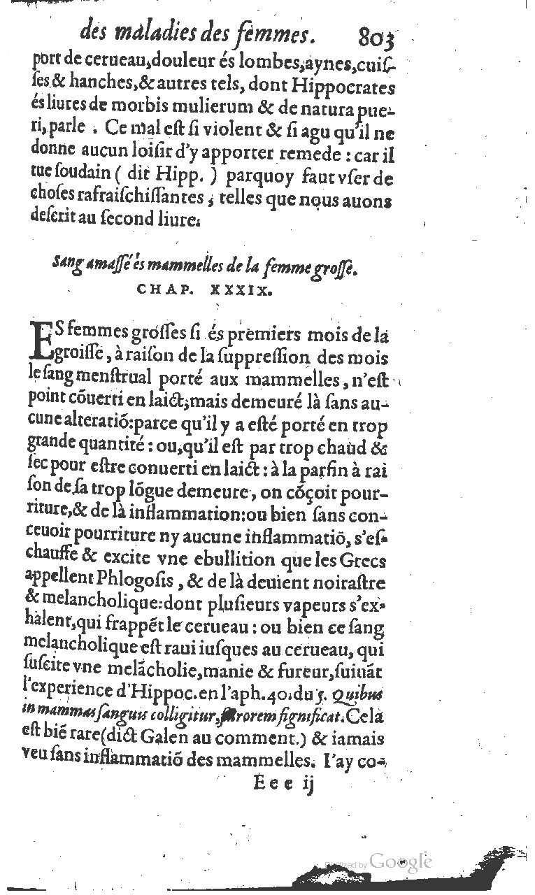 1617 - Jean Le Bouc - Trésor des remèdes secrets - BM Lyon