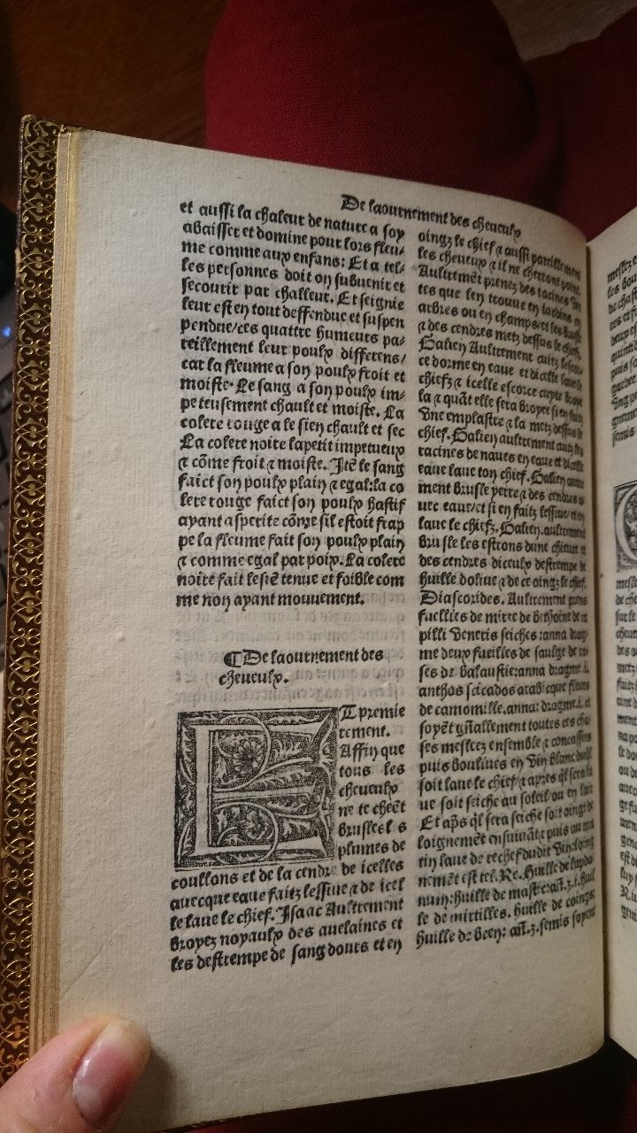 1568 - Willem Silvius - Trésor des vies de Plutarque - BnF