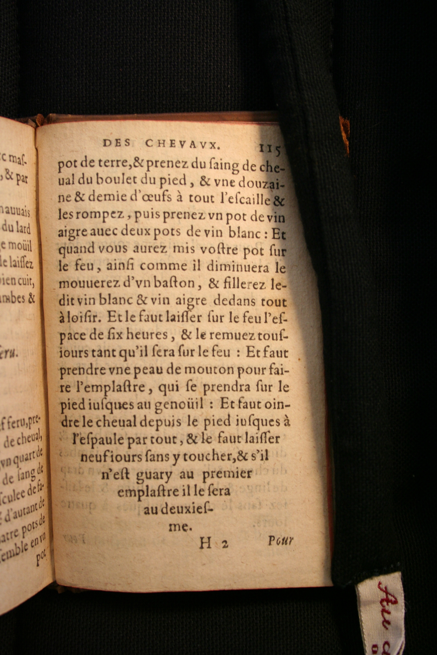 1591 - Pierre Chastaing et Benoît Rigaud - Trésor des bêtes chevalines - BM Bordeaux