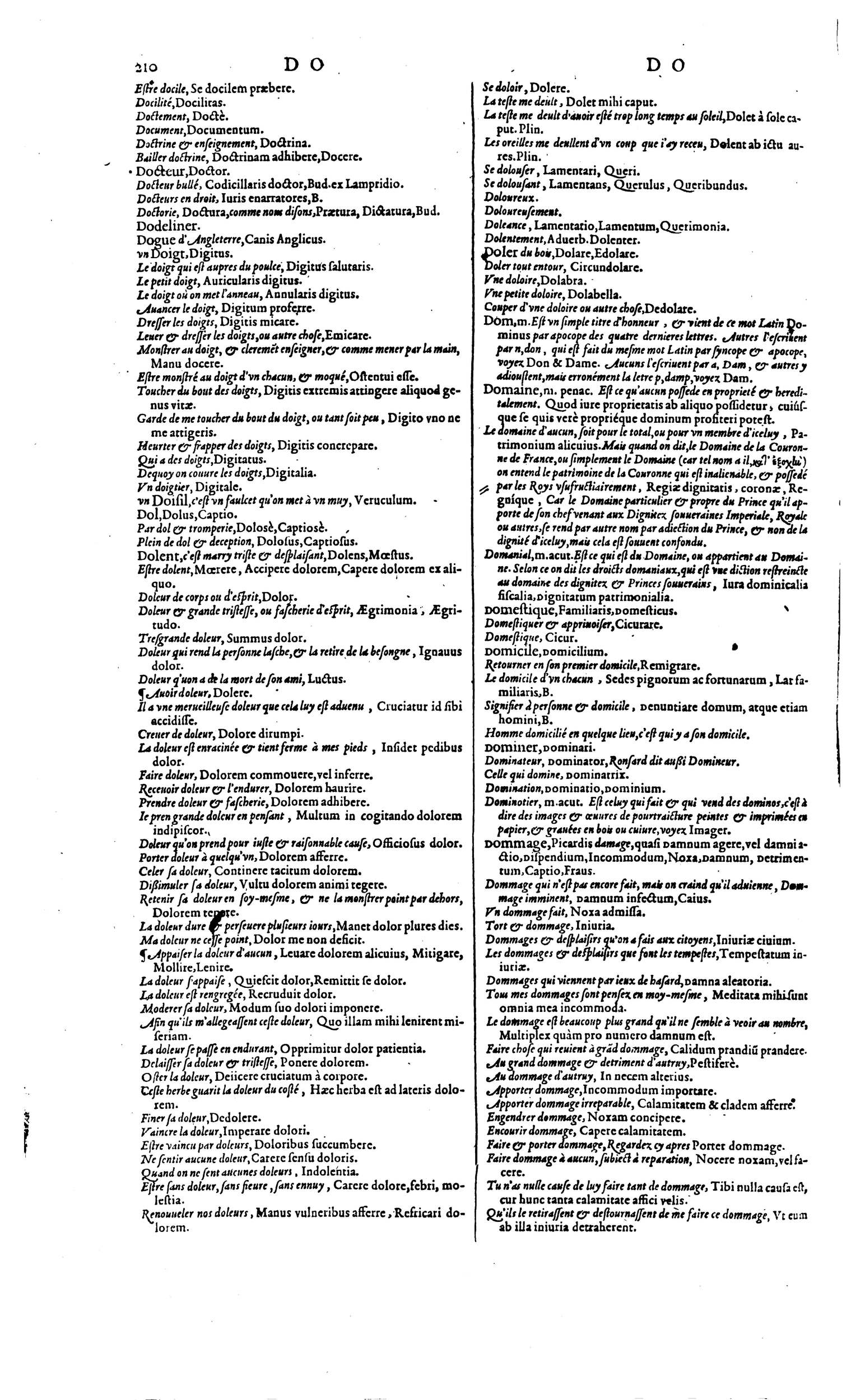 1606 - David Douceur - Trésor de la langue française - BM Lyon