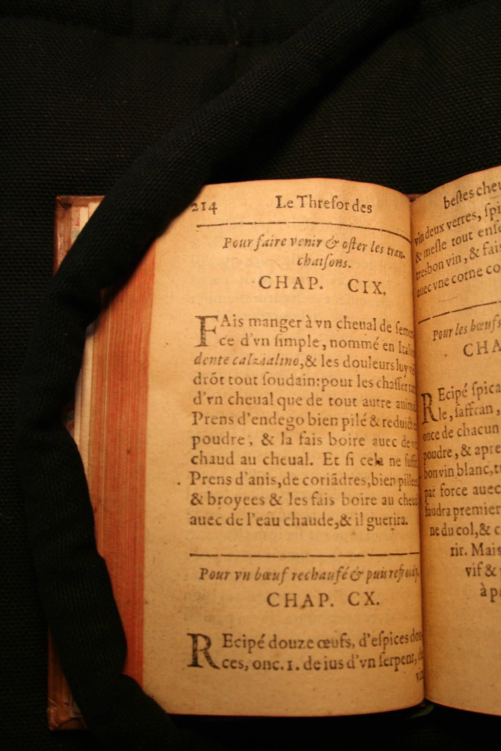 1591 - Pierre Chastaing et Benoît Rigaud - Trésor des bêtes chevalines - BM Bordeaux