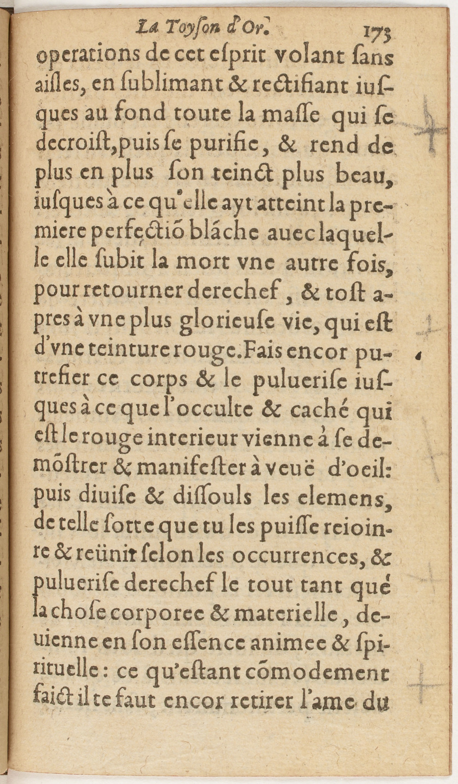 1612 - Charles Sevestre - Toison d’or ou la fleur des Trésors - BnF