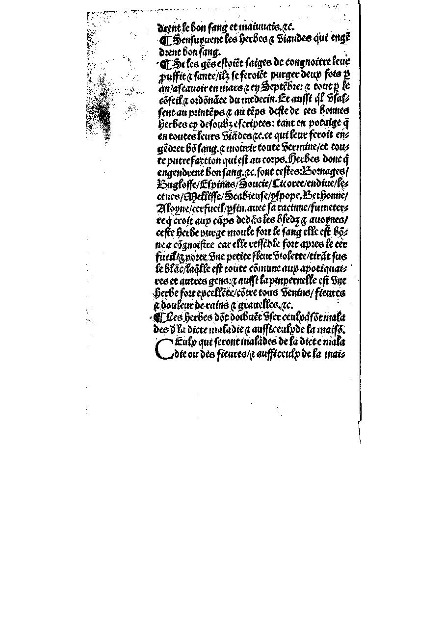 1545 Tresor du remede preservatif Benoyt_Page_30.jpg