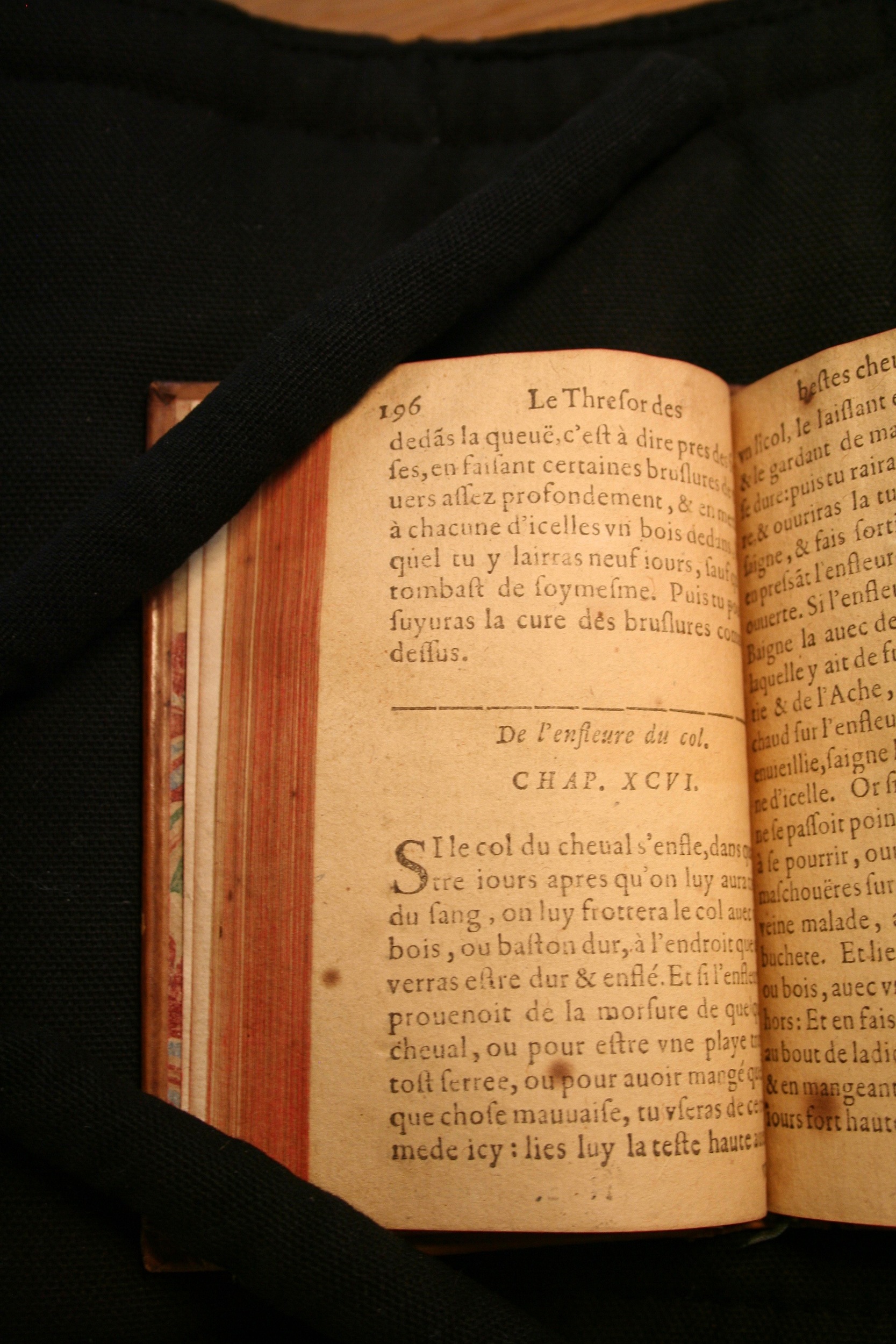 1591 - Pierre Chastaing et Benoît Rigaud - Trésor des bêtes chevalines - BM Bordeaux
