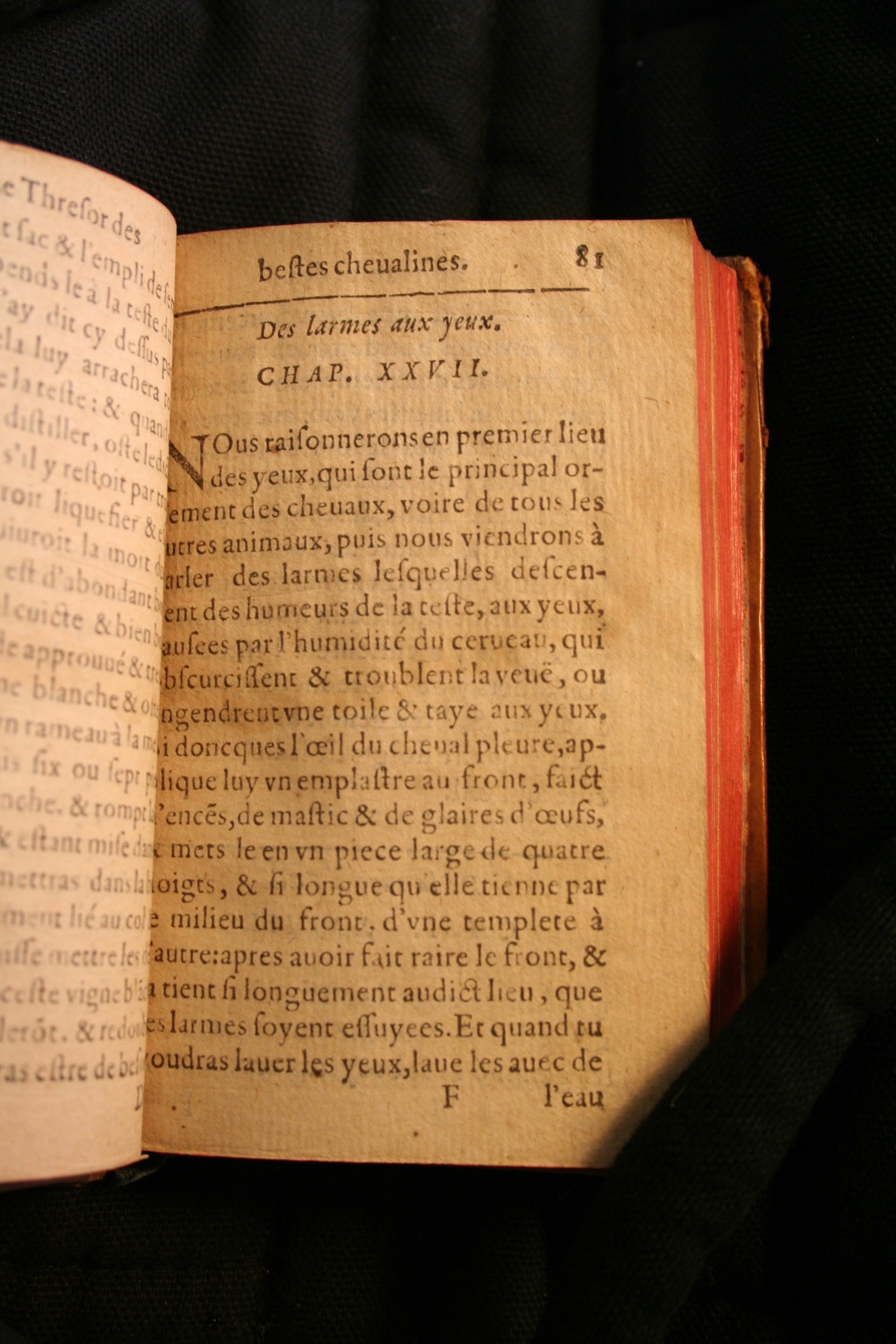 1591 - Pierre Chastaing et Benoît Rigaud - Trésor des bêtes chevalines - BM Bordeaux