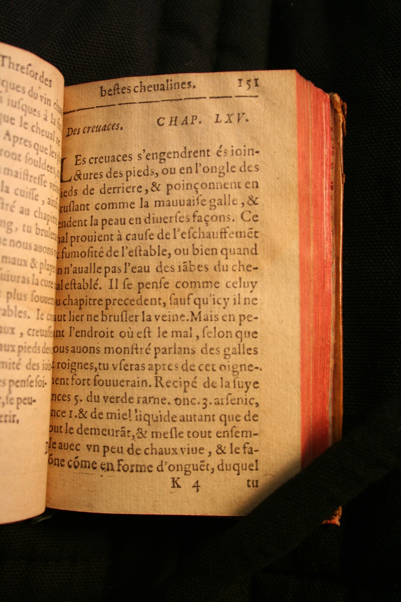 1591 - Pierre Chastaing et Benoît Rigaud - Trésor des bêtes chevalines - BM Bordeaux 1591 - Pierre Chastaing et Benoît Rigaud - Trésor des bêtes chevalines - BM Bordeaux