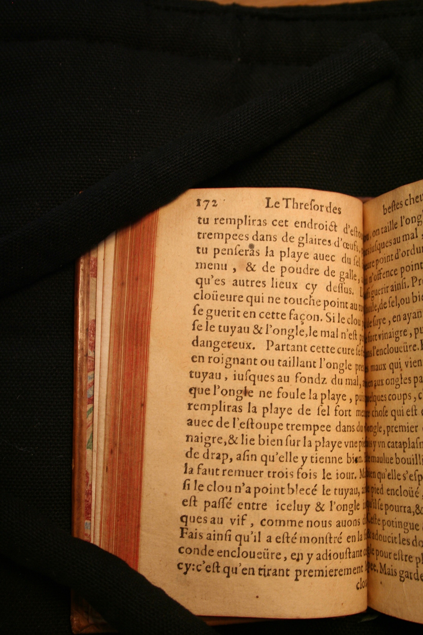 1591 - Pierre Chastaing et Benoît Rigaud - Trésor des bêtes chevalines - BM Bordeaux
