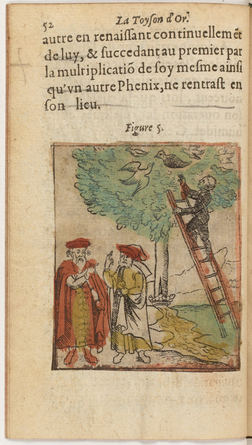 1612 - Charles Sevestre - Toison d’or ou la fleur des Trésors - BnF 1612 - Charles Sevestre - Toison d’or ou la fleur des Trésors - BnF