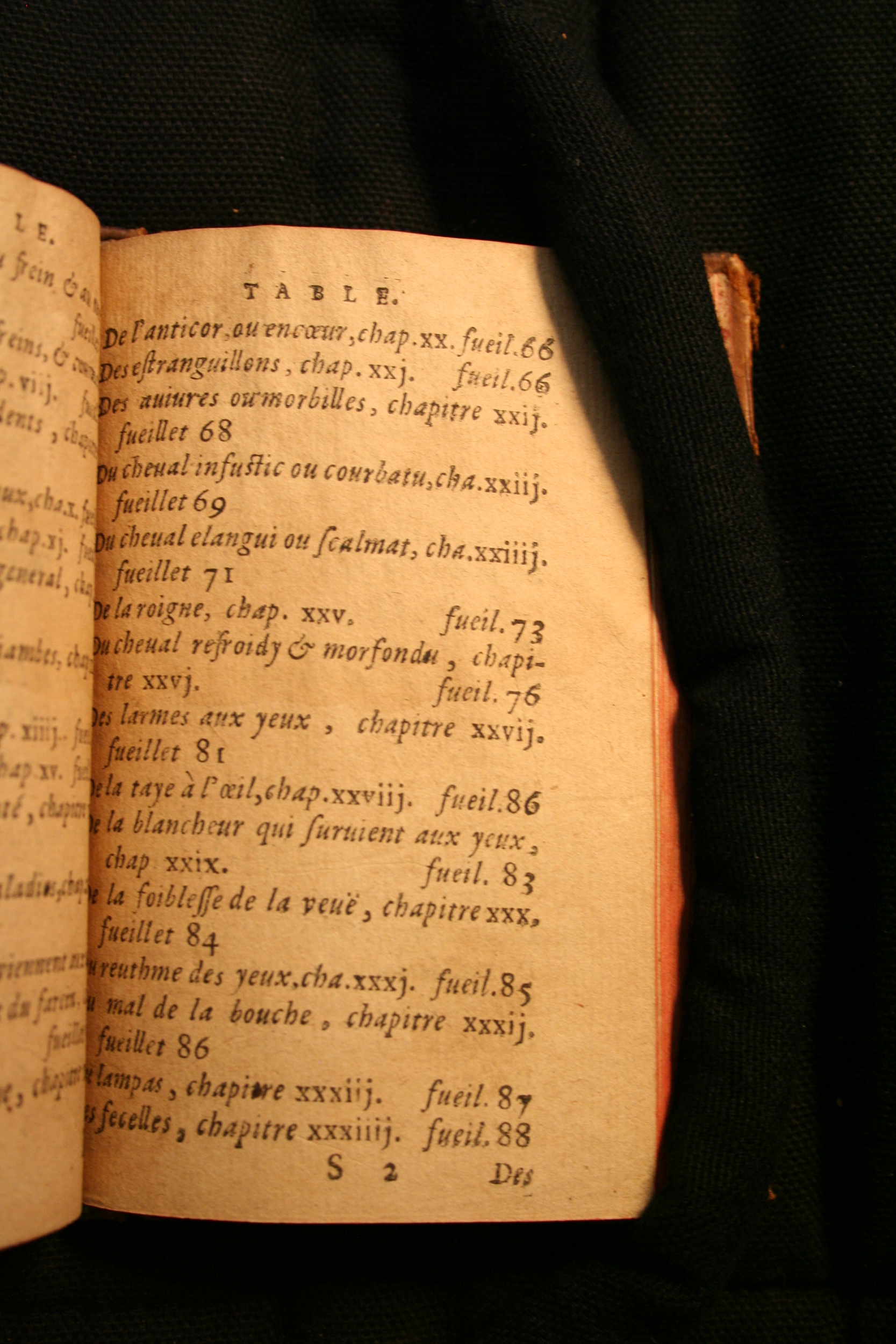 1591 - Pierre Chastaing et Benoît Rigaud - Trésor des bêtes chevalines - BM Bordeaux