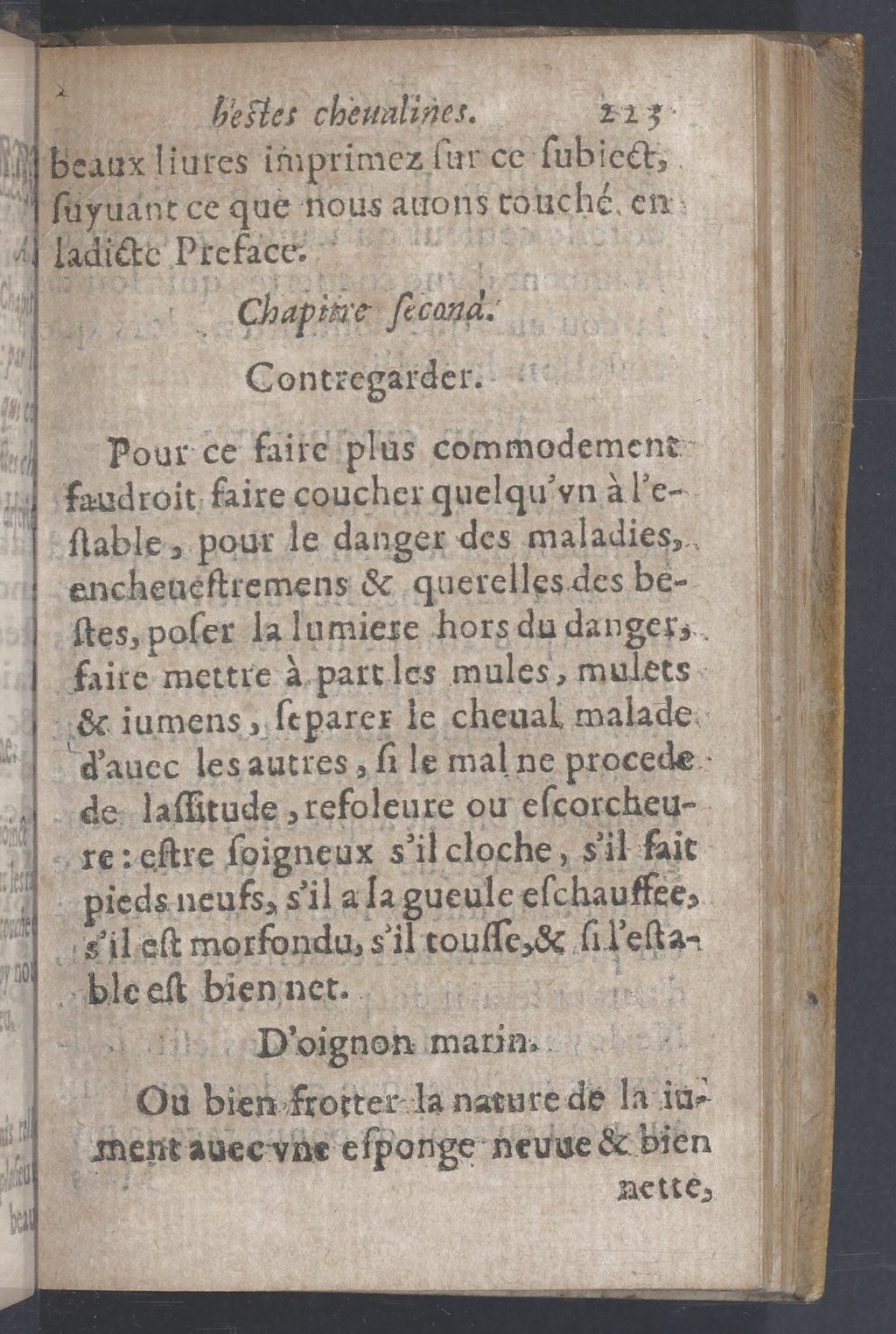 1619 - Pierre Rigaud - Trésor des bêtes chevalines - BnF 1619 - Pierre Rigaud - Trésor des bêtes chevalines - BnF