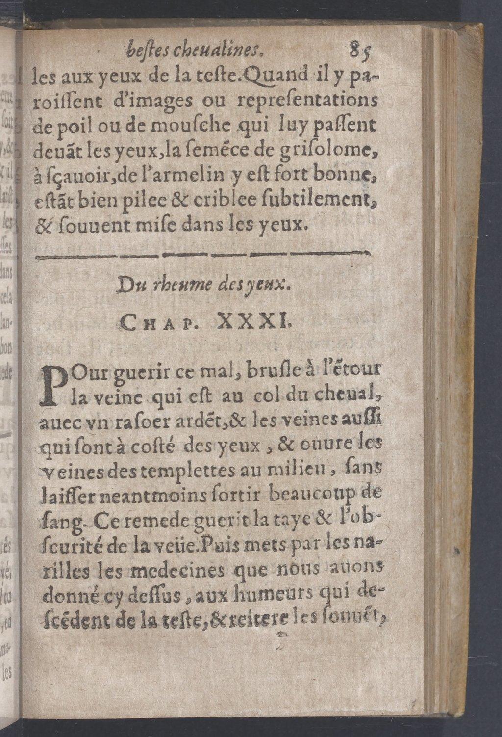1619 - Pierre Rigaud - Trésor des bêtes chevalines - BnF 1619 - Pierre Rigaud - Trésor des bêtes chevalines - BnF