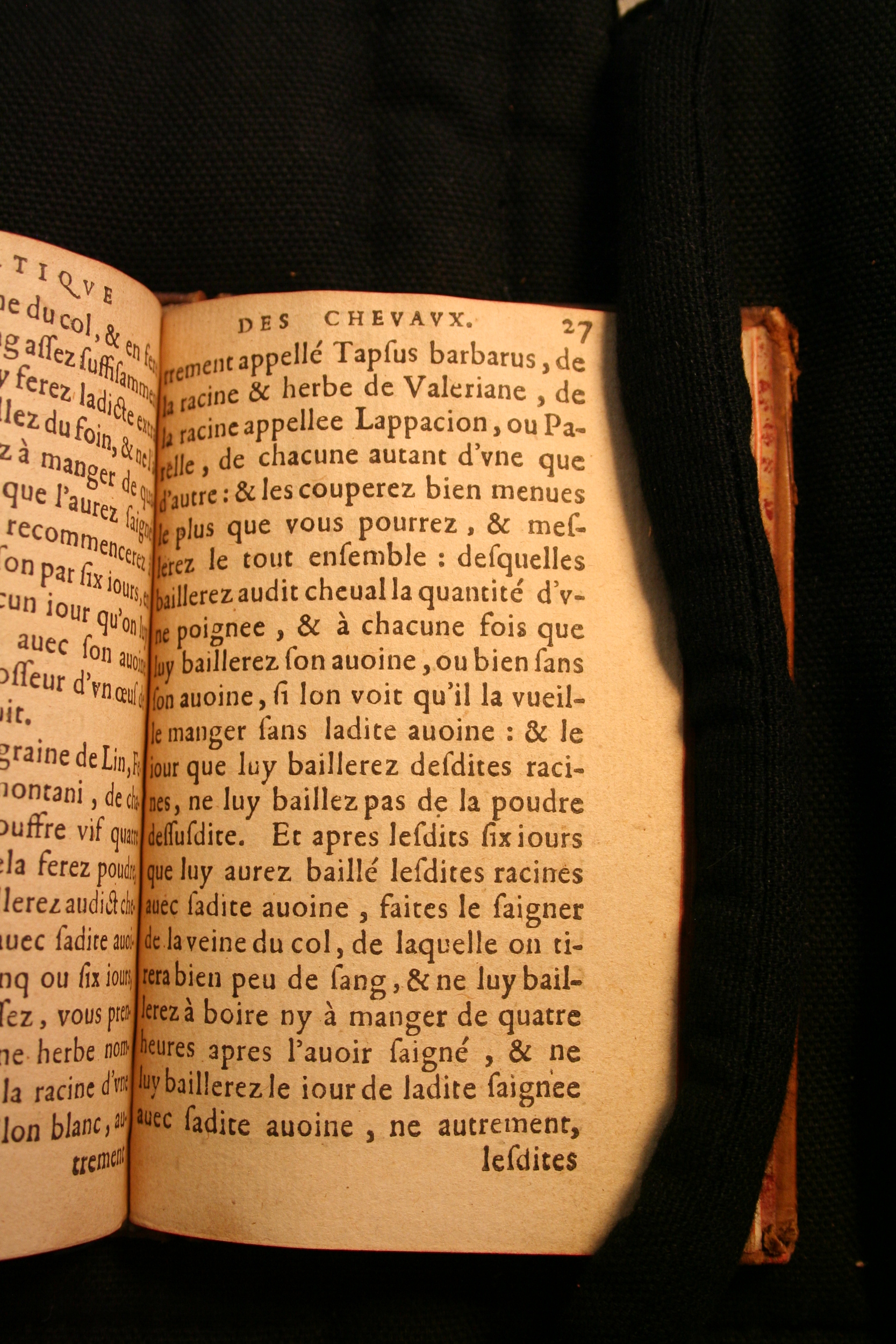 1591 - Pierre Chastaing et Benoît Rigaud - Trésor des bêtes chevalines - BM Bordeaux