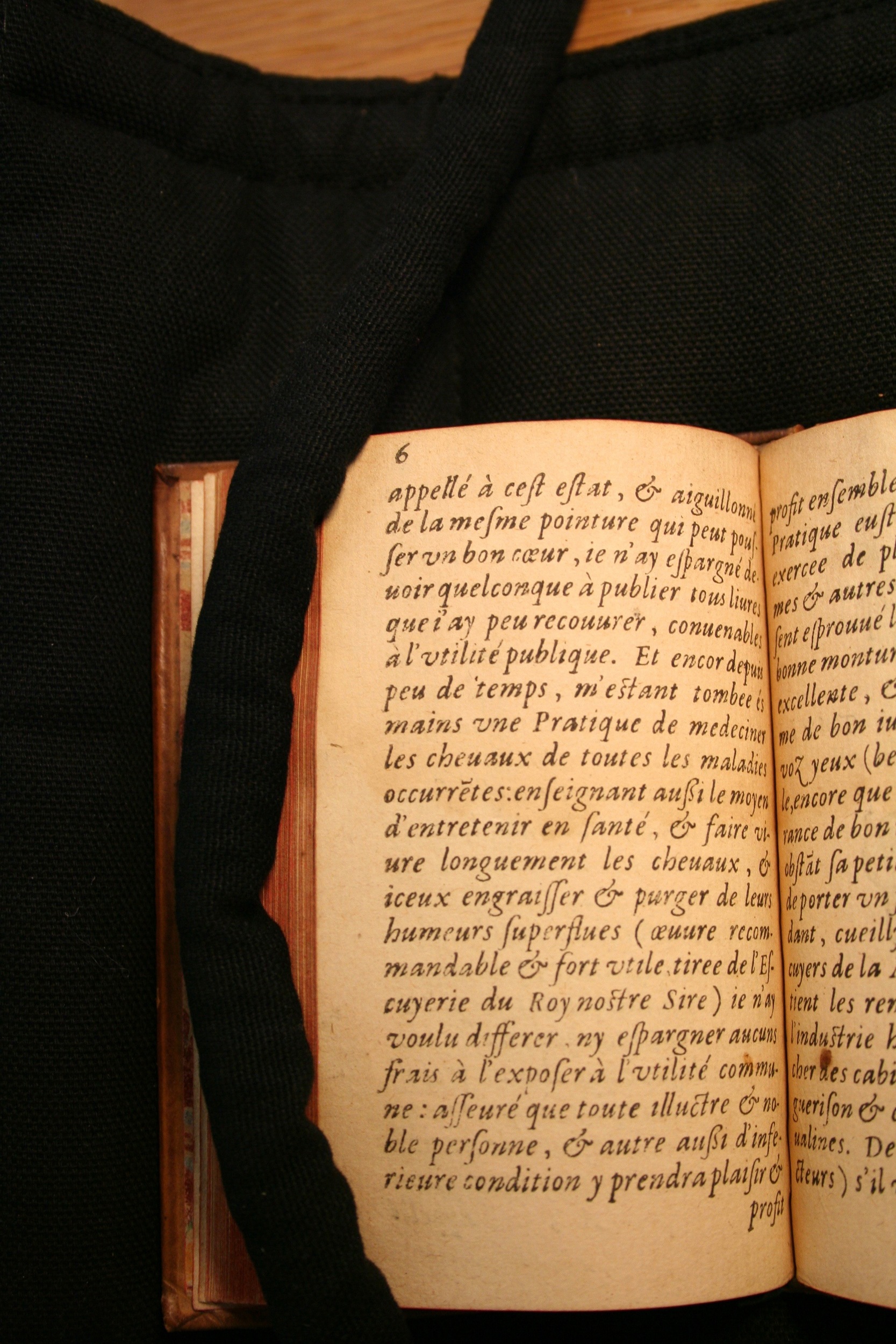 1591 - Pierre Chastaing et Benoît Rigaud - Trésor des bêtes chevalines - BM Bordeaux