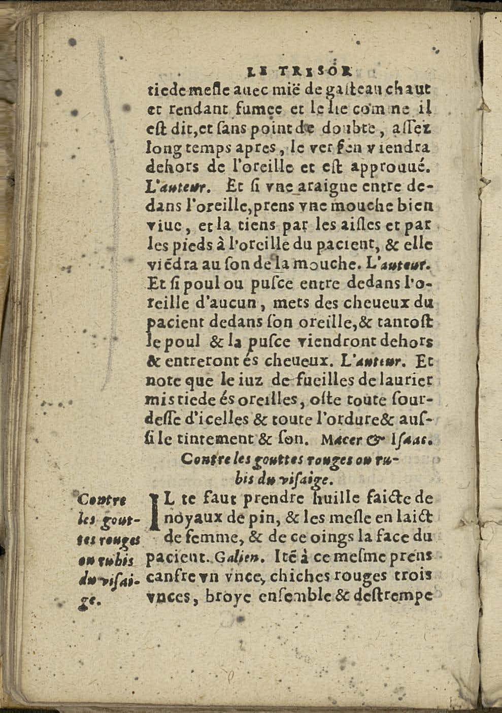 1581 - Jean Bailleur - Trésor des pauvres - Le Havre