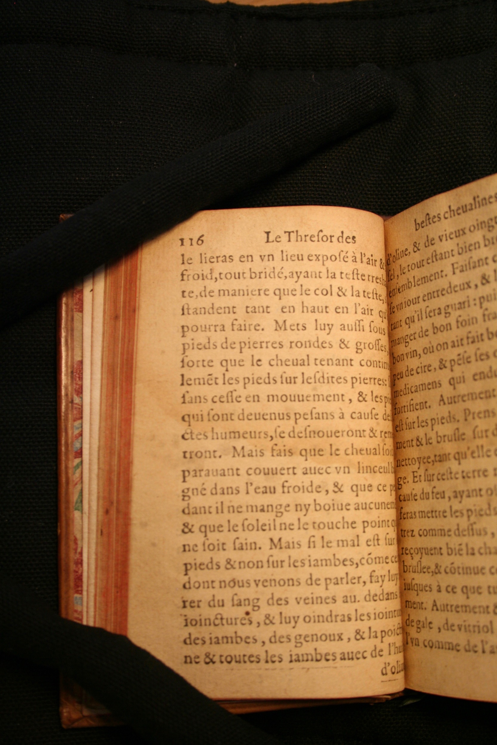 1591 - Pierre Chastaing et Benoît Rigaud - Trésor des bêtes chevalines - BM Bordeaux 1591 - Pierre Chastaing et Benoît Rigaud - Trésor des bêtes chevalines - BM Bordeaux