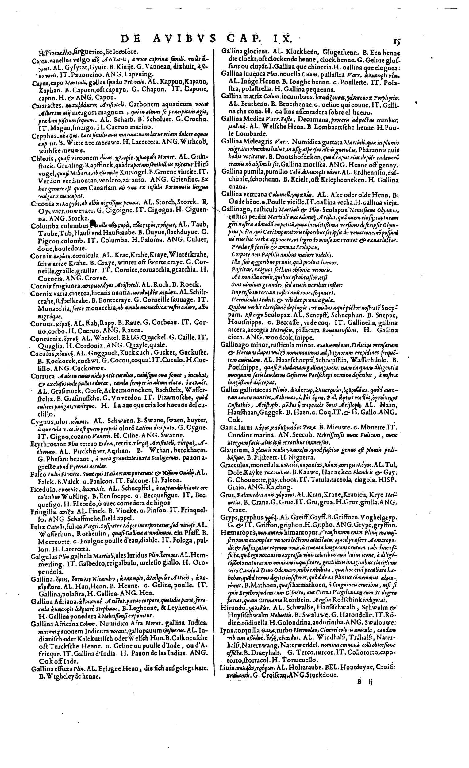 1606 - David Douceur - Trésor de la langue française - BM Lyon