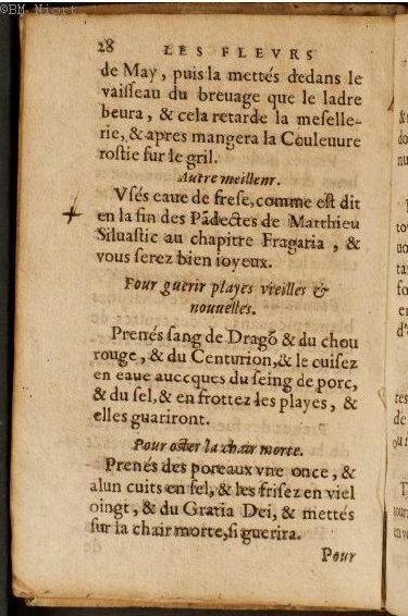 1586 - Benoît Rigaud - Trésor des fleurs et secrets de médecine - Université Paris Cité 1586 - Benoît Rigaud - Trésor des fleurs et secrets de médecine - Université Paris Cité