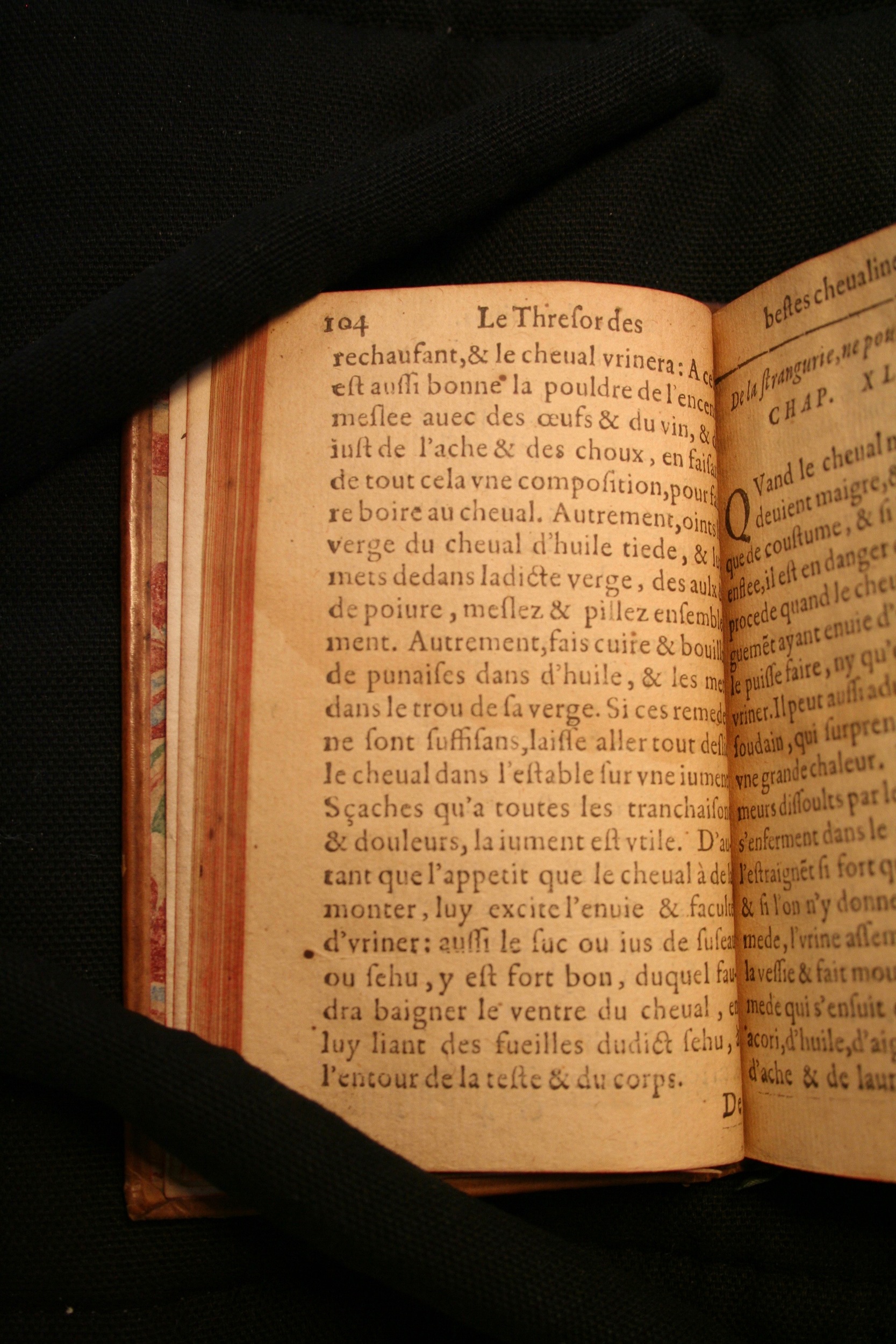 1591 - Pierre Chastaing et Benoît Rigaud - Trésor des bêtes chevalines - BM Bordeaux