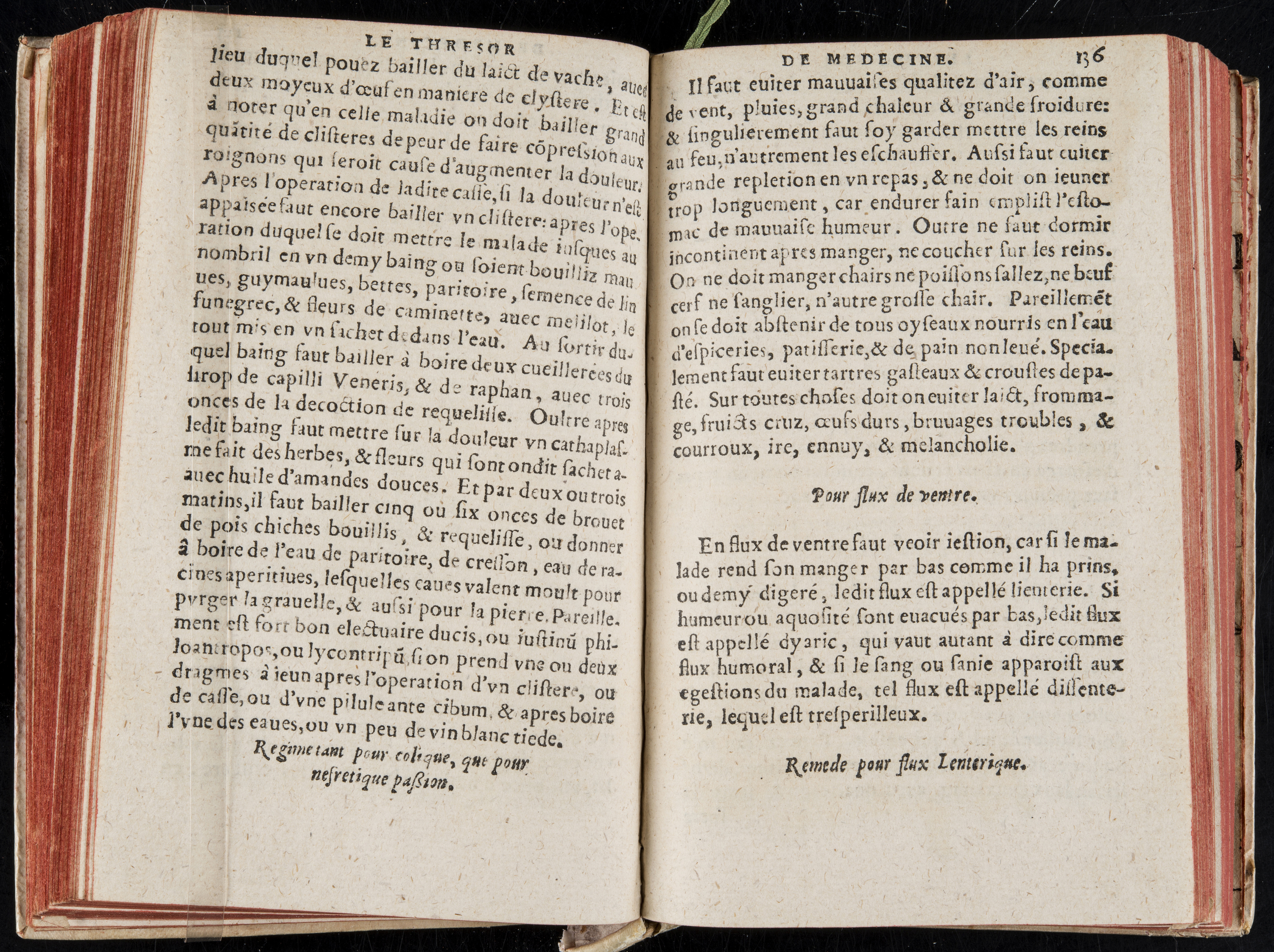 1560 - Nicolas Pelletier - Trésor de médecine - BM Poitiers