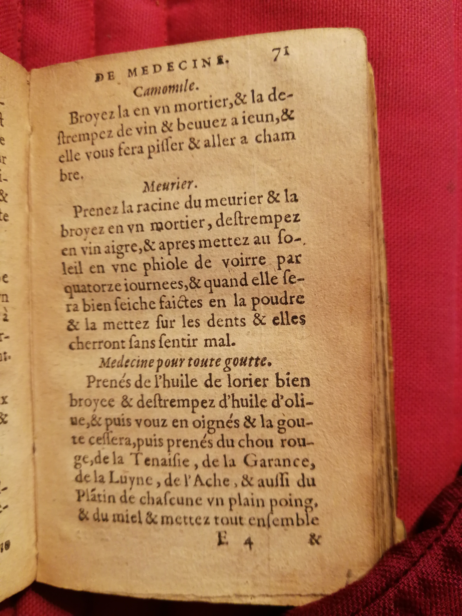 1586 - Benoît Rigaud - Trésor des fleurs et secrets de médecine - Sainte-Geneviève