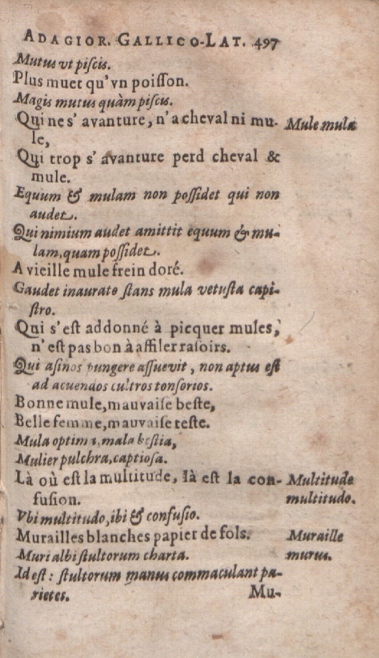 1612 - Dominicus Custos - Trésor des proverbes français  - Bibliopol-Olomuc