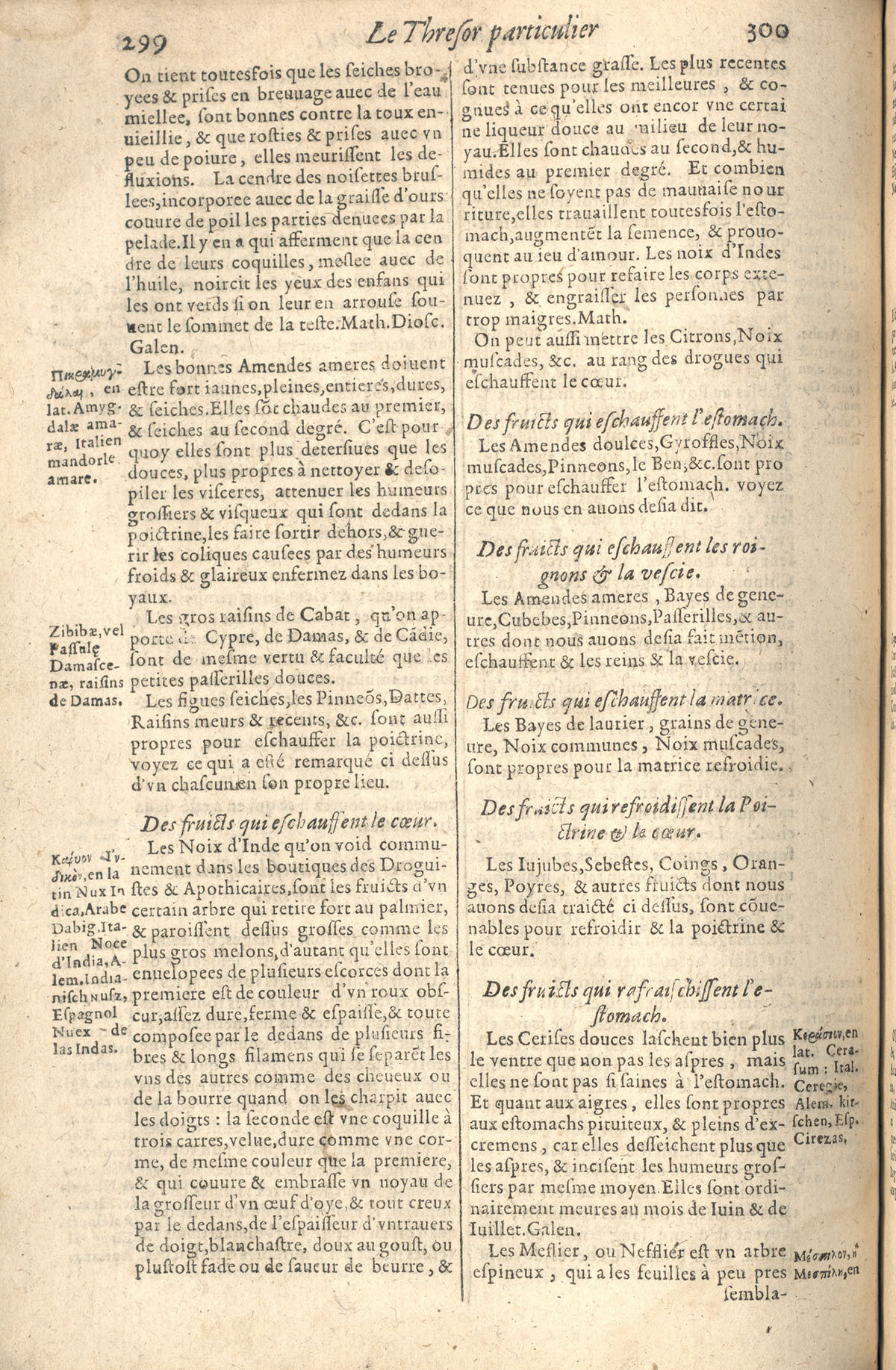 1610 - Étienne Gamonet - Grand Trésor ou dispensaire - CESR Tours