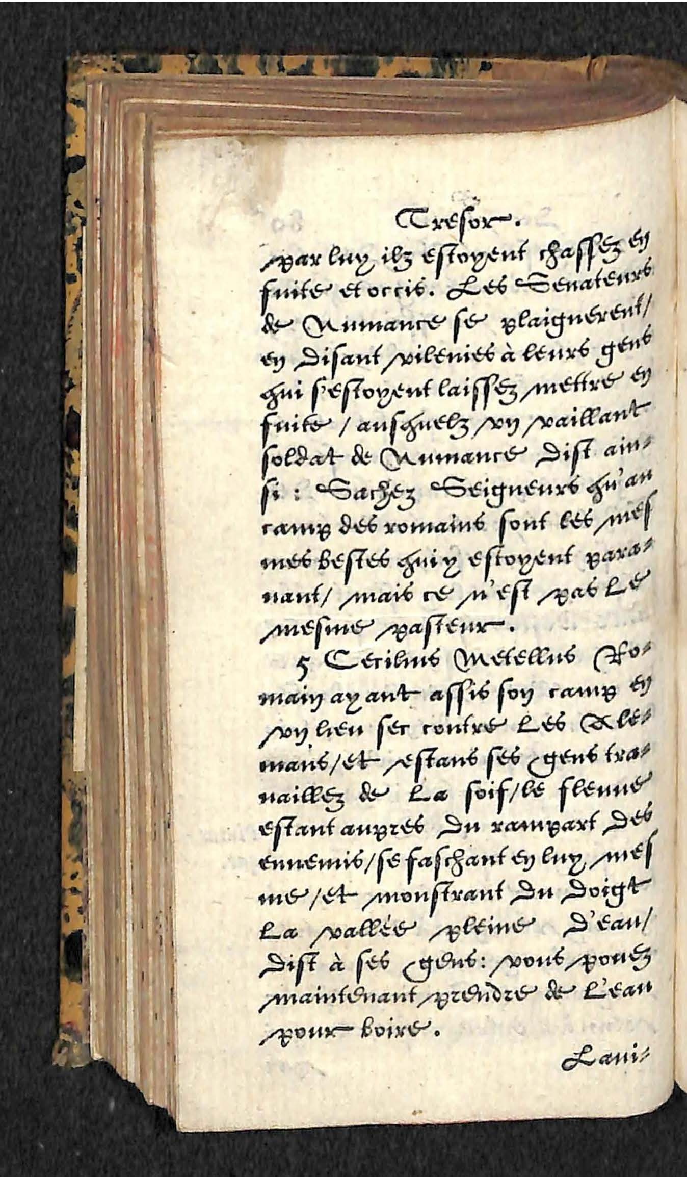 1560 - Hans de Laet - Trésor de vertu - Angers-archives