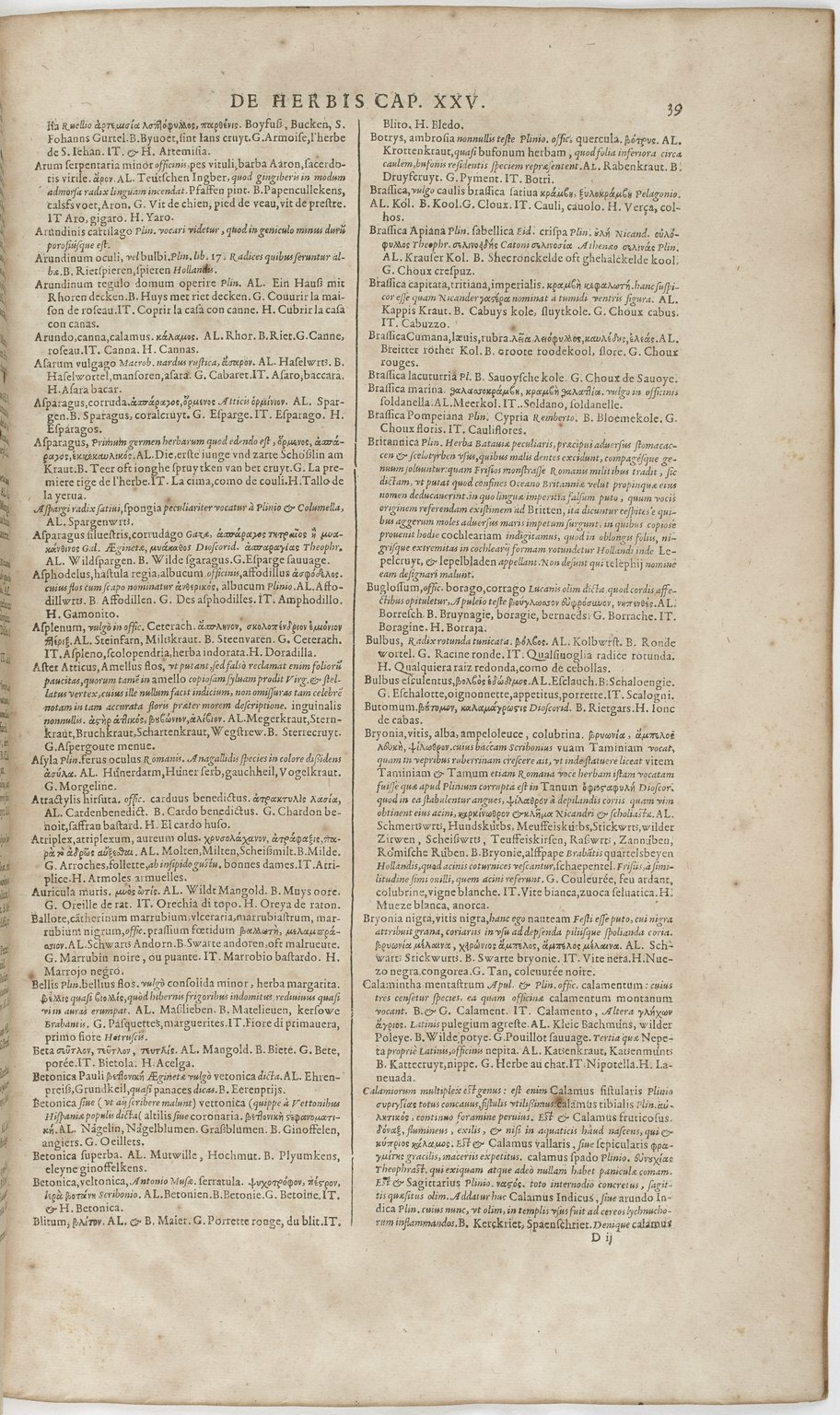 1606 - David Douceur - Trésor de la langue française - BnF