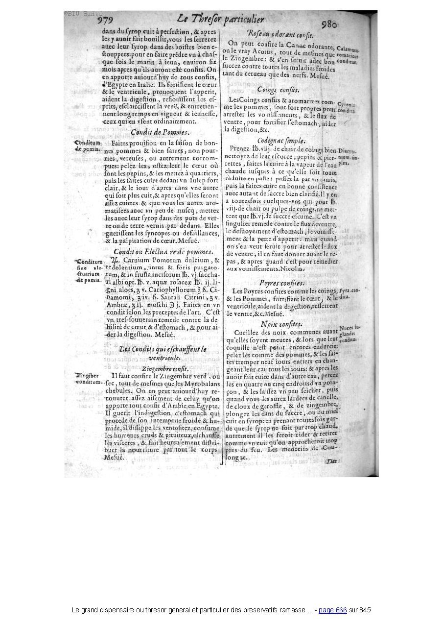 1609 - Étienne Gamonet - Grand dispensaire ou Trésor général et particulier des préservatifs - BIU Santé 1609 - Étienne Gamonet - Grand dispensaire ou Trésor général et particulier des préservatifs - BIU Santé