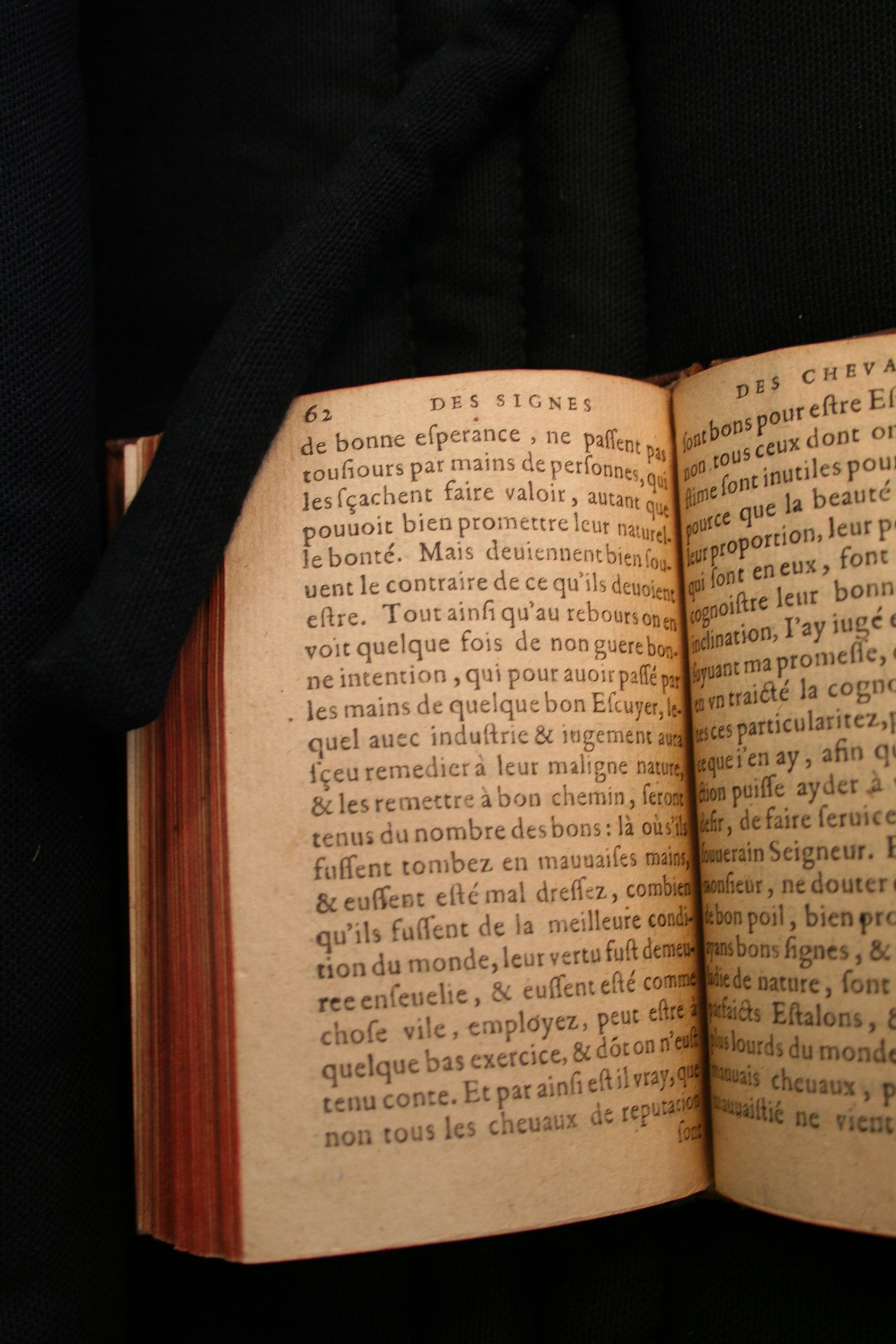 1591 - Pierre Chastaing et Benoît Rigaud - Trésor des bêtes chevalines - BM Bordeaux