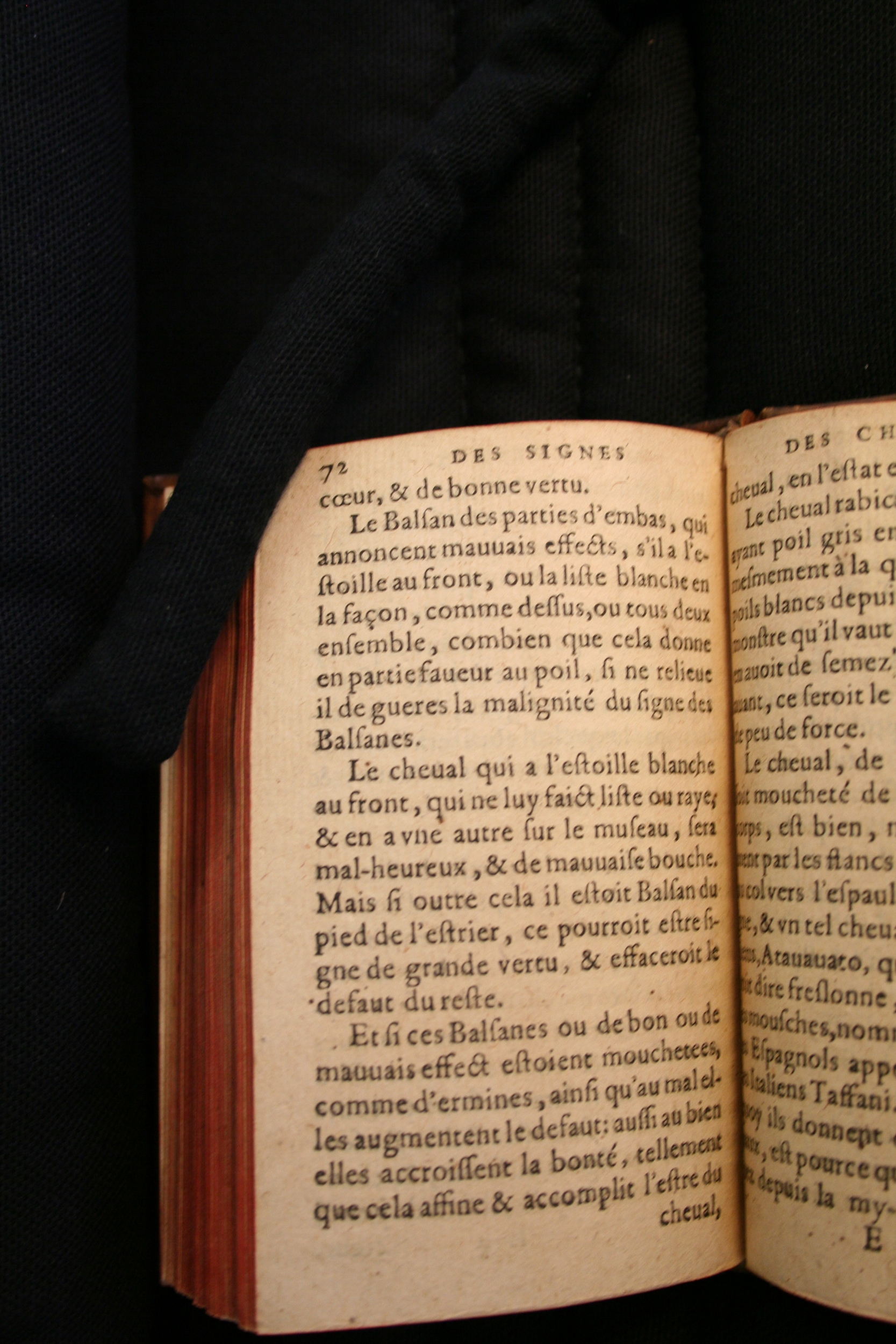 1591 - Pierre Chastaing et Benoît Rigaud - Trésor des bêtes chevalines - BM Bordeaux