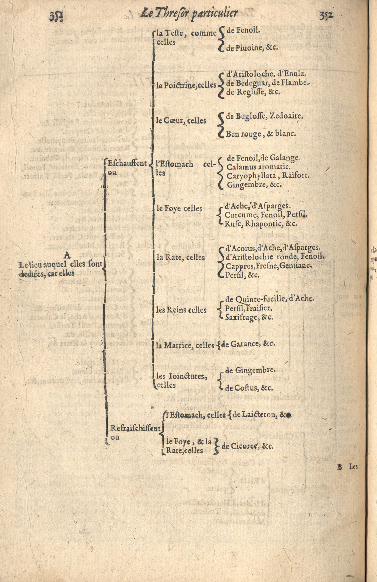 1610 - Étienne Gamonet - Grand Trésor ou dispensaire - CESR Tours