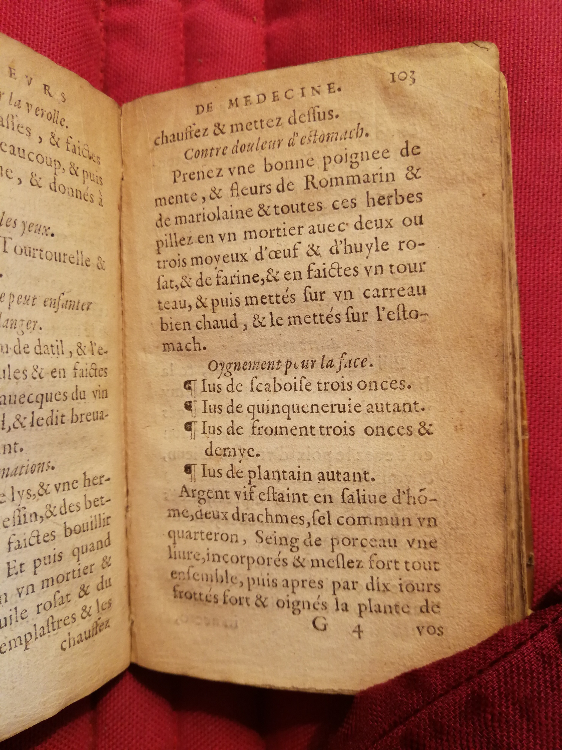 1586 - Benoît Rigaud - Trésor des fleurs et secrets de médecine - Sainte-Geneviève 1586 - Benoît Rigaud - Trésor des fleurs et secrets de médecine - Sainte-Geneviève