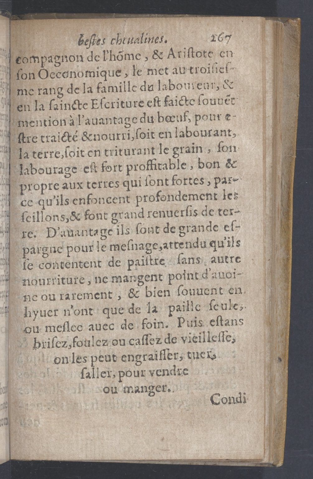 1619 - Pierre Rigaud - Trésor des bêtes chevalines - BnF 1619 - Pierre Rigaud - Trésor des bêtes chevalines - BnF