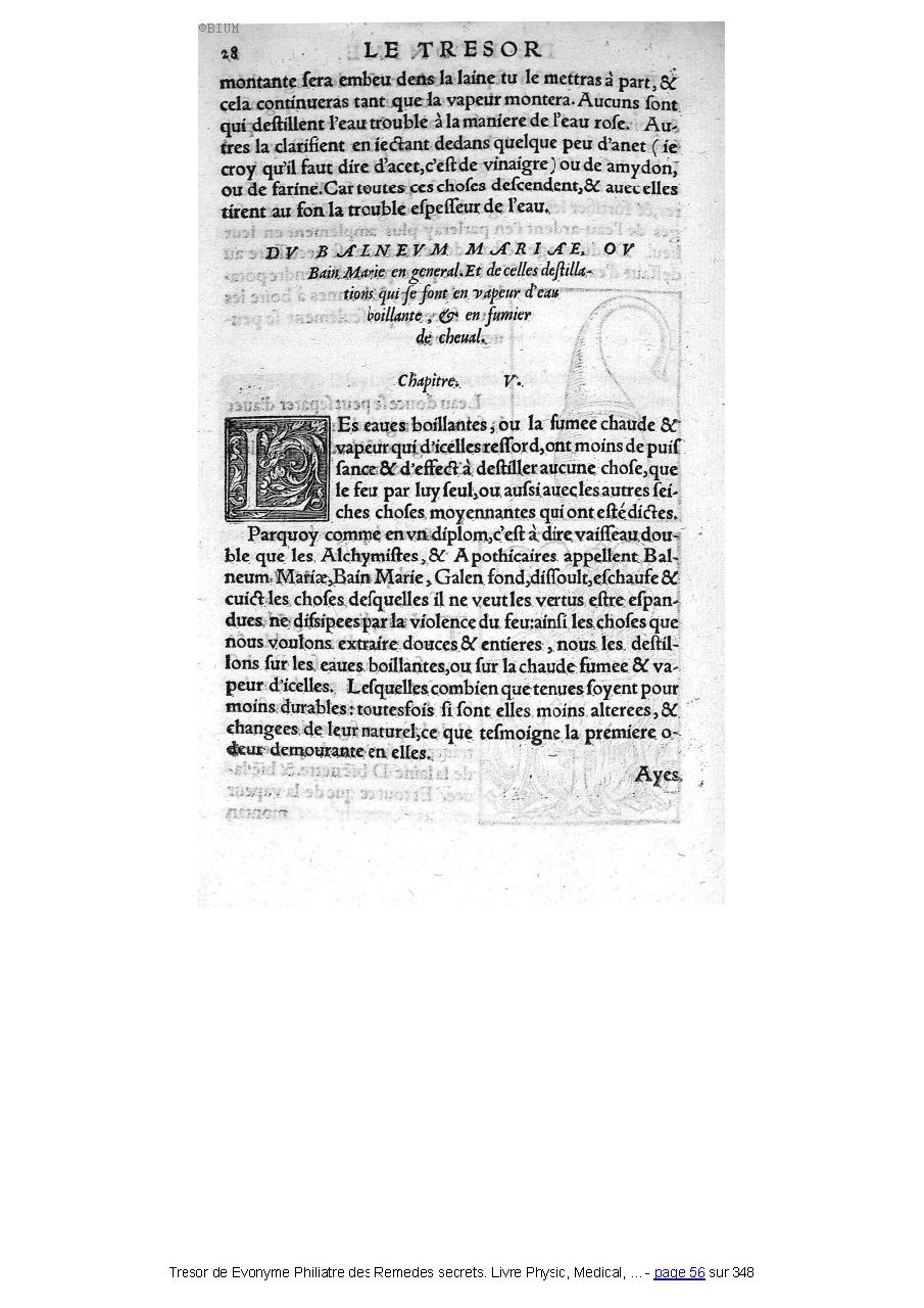 1555 Tresor de Evonime Philiatre Arnoullet 1_Page_056.jpg