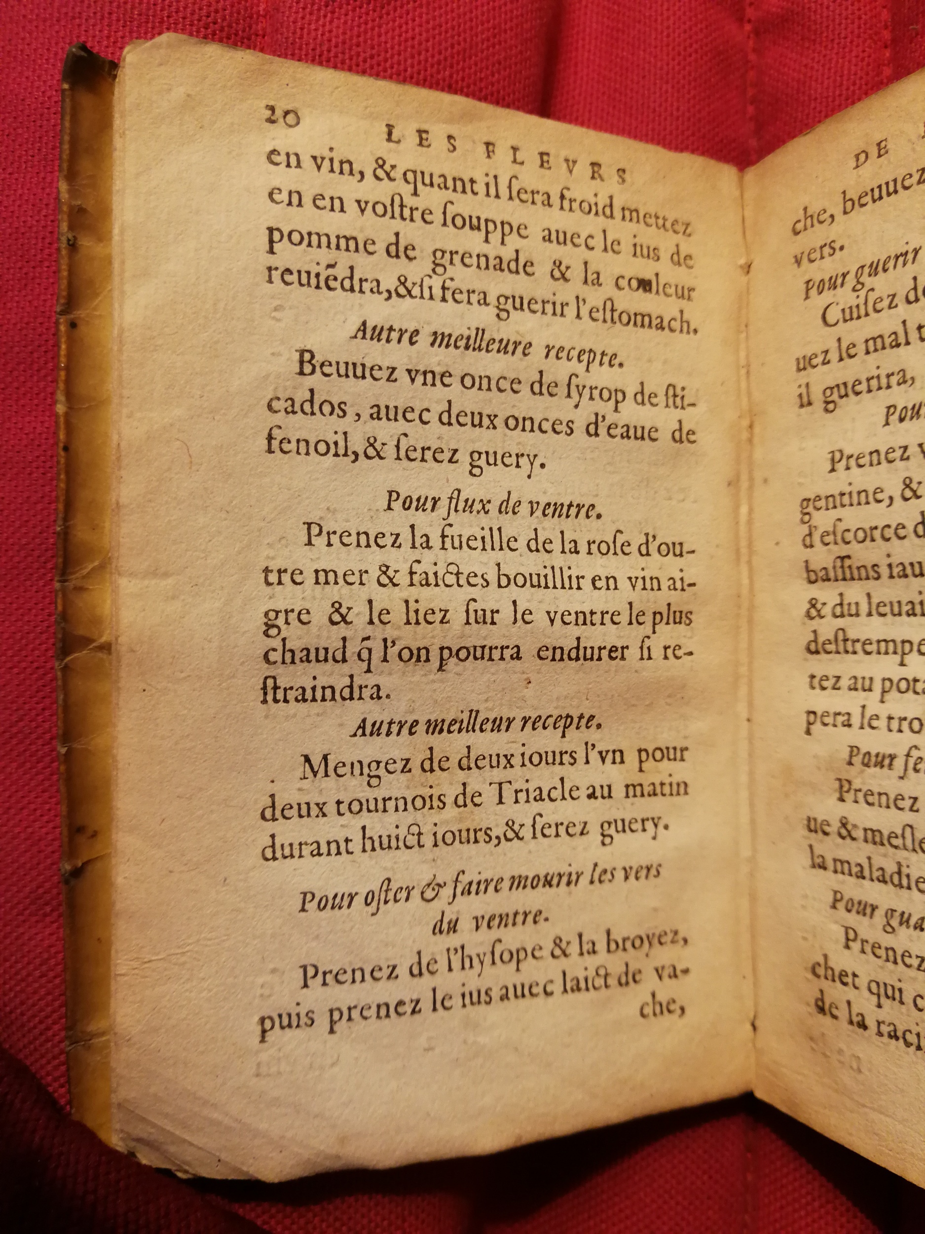 1586 - Benoît Rigaud - Trésor des fleurs et secrets de médecine - Sainte-Geneviève
