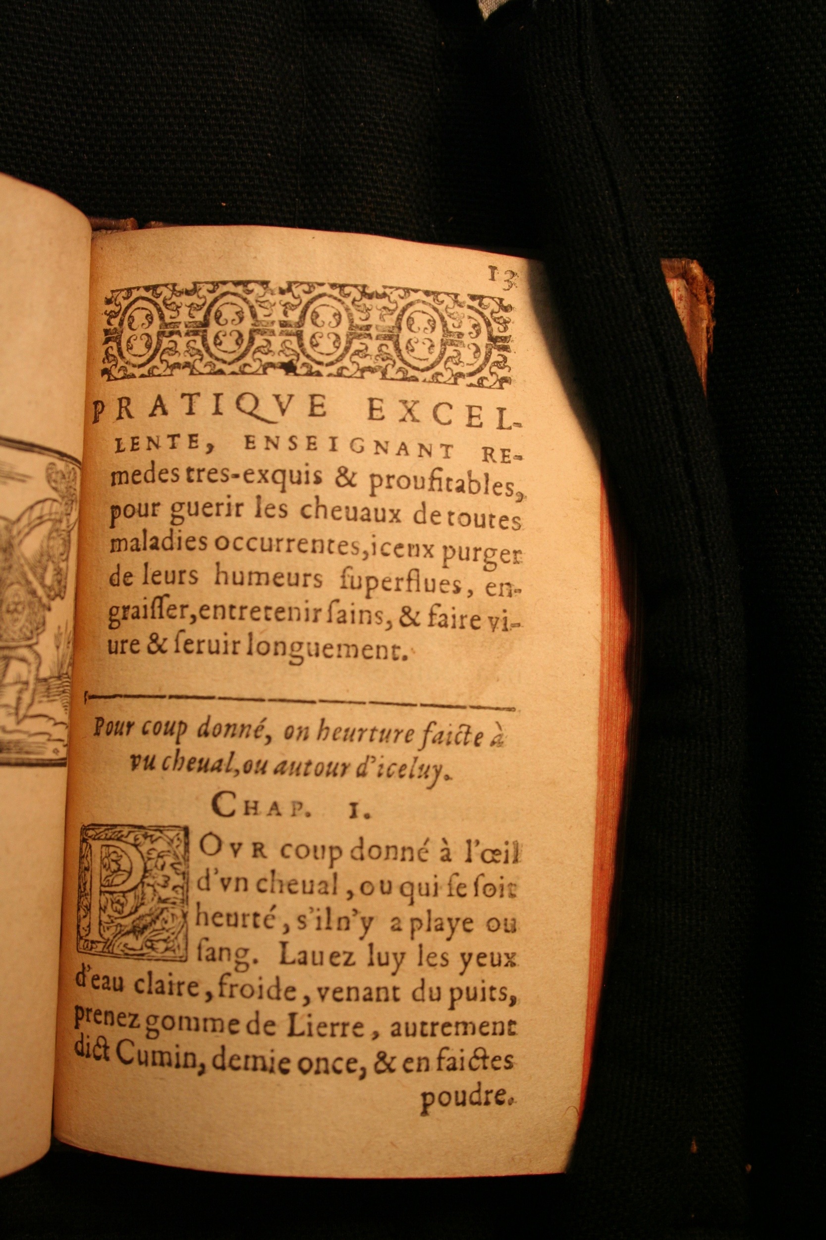 1591 - Pierre Chastaing et Benoît Rigaud - Trésor des bêtes chevalines - BM Bordeaux