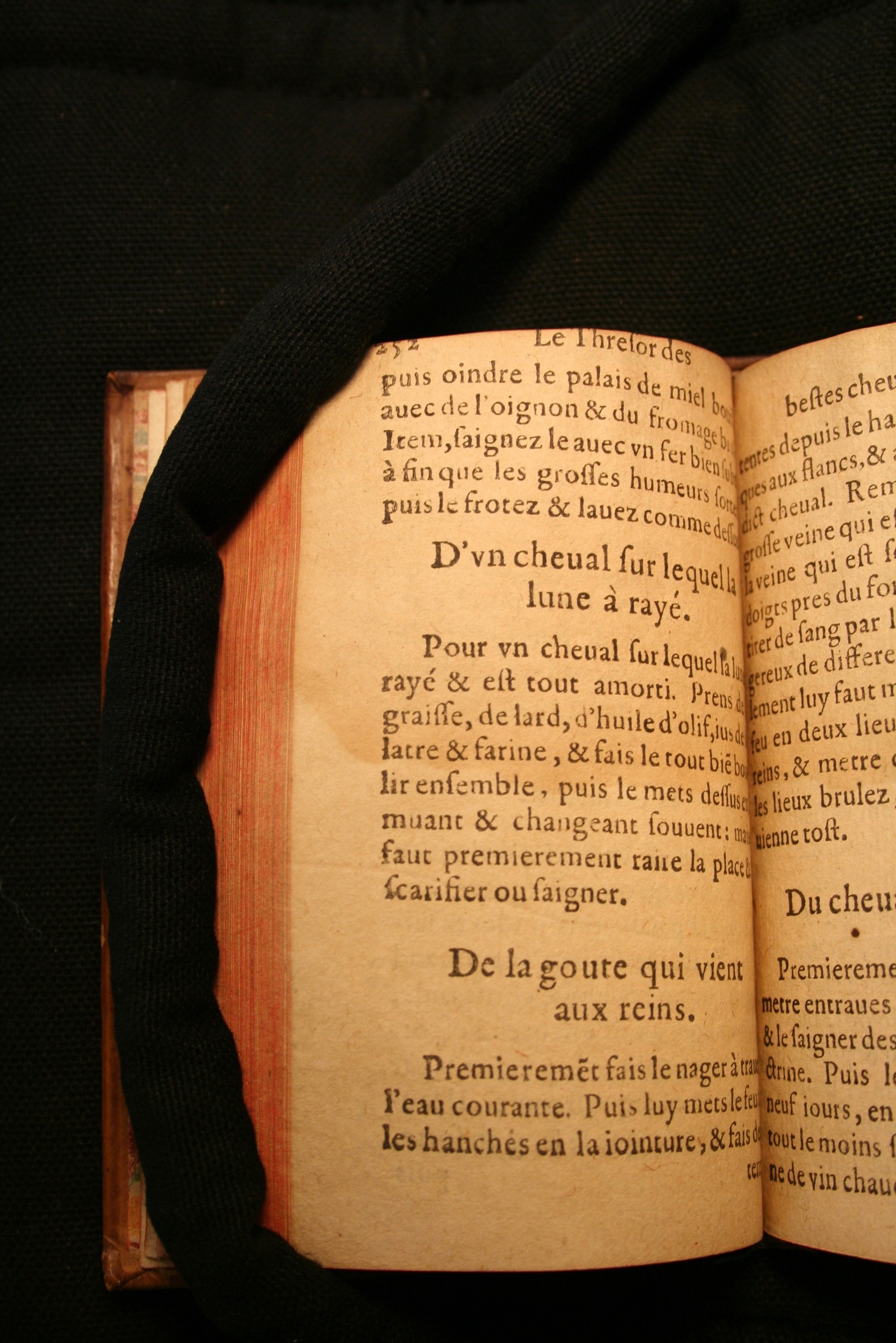 1591 - Pierre Chastaing et Benoît Rigaud - Trésor des bêtes chevalines - BM Bordeaux