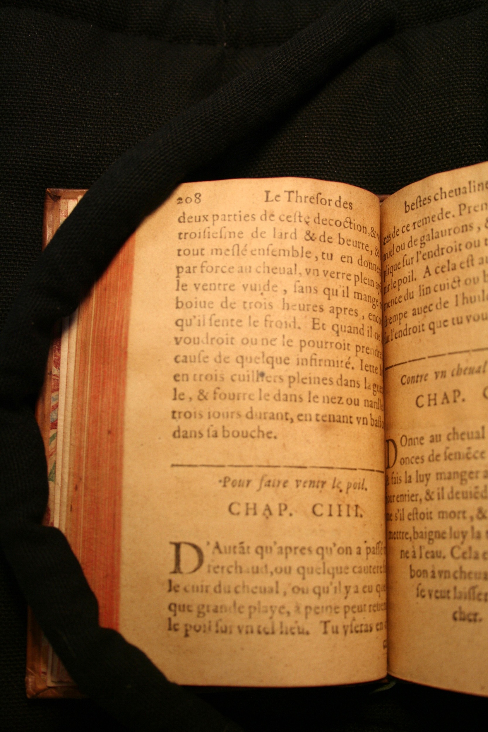 1591 - Pierre Chastaing et Benoît Rigaud - Trésor des bêtes chevalines - BM Bordeaux