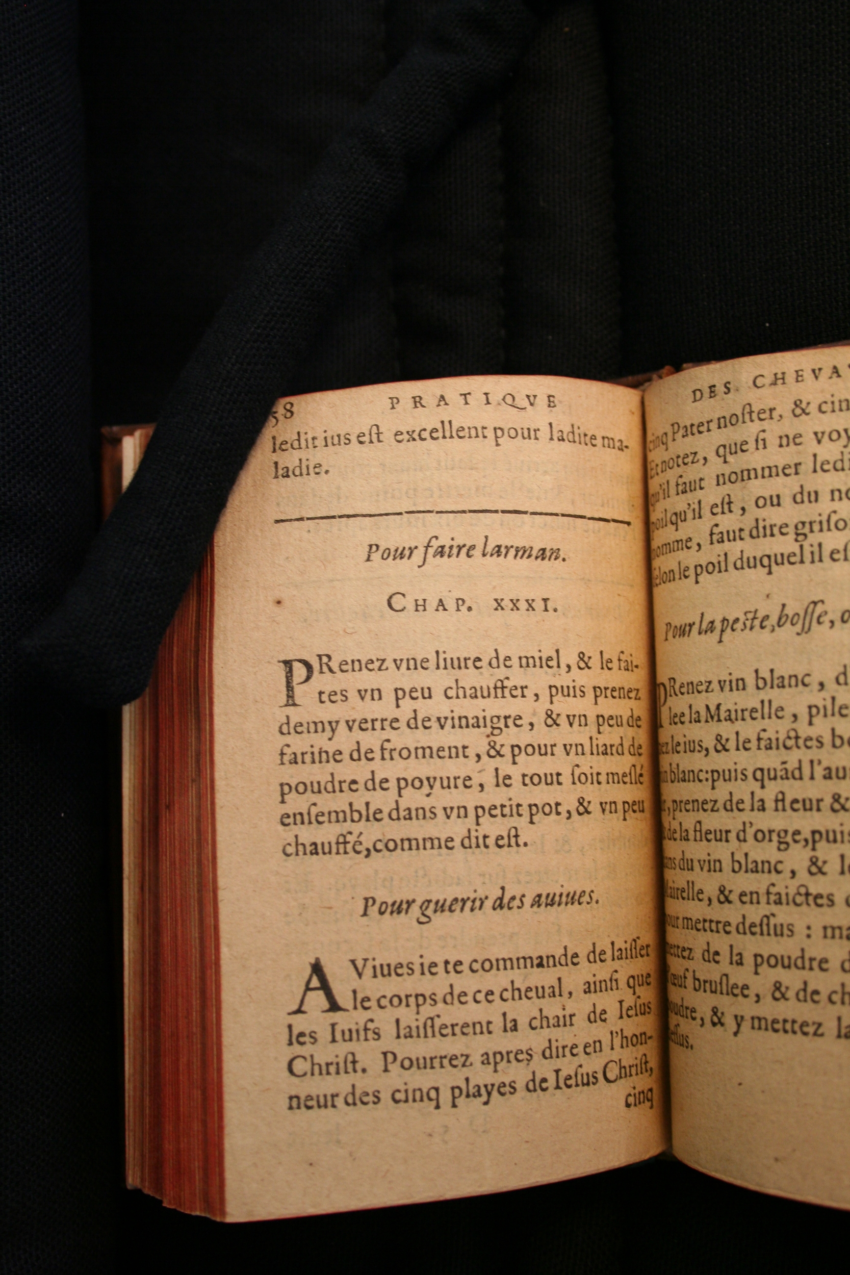 1591 - Pierre Chastaing et Benoît Rigaud - Trésor des bêtes chevalines - BM Bordeaux