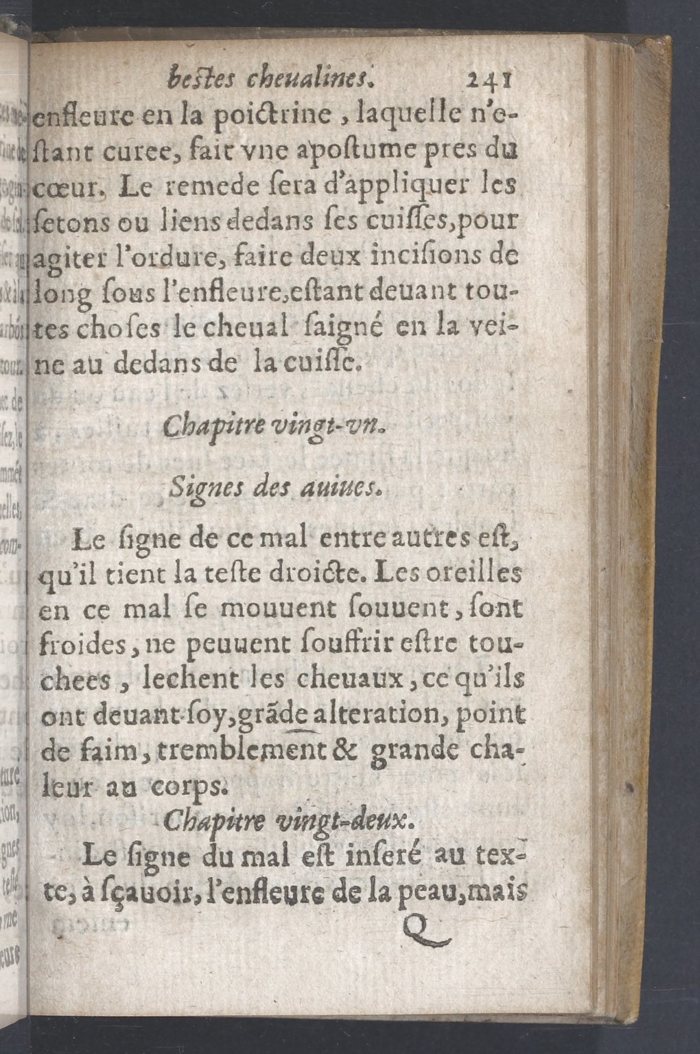 1619 - Pierre Rigaud - Trésor des bêtes chevalines - BnF