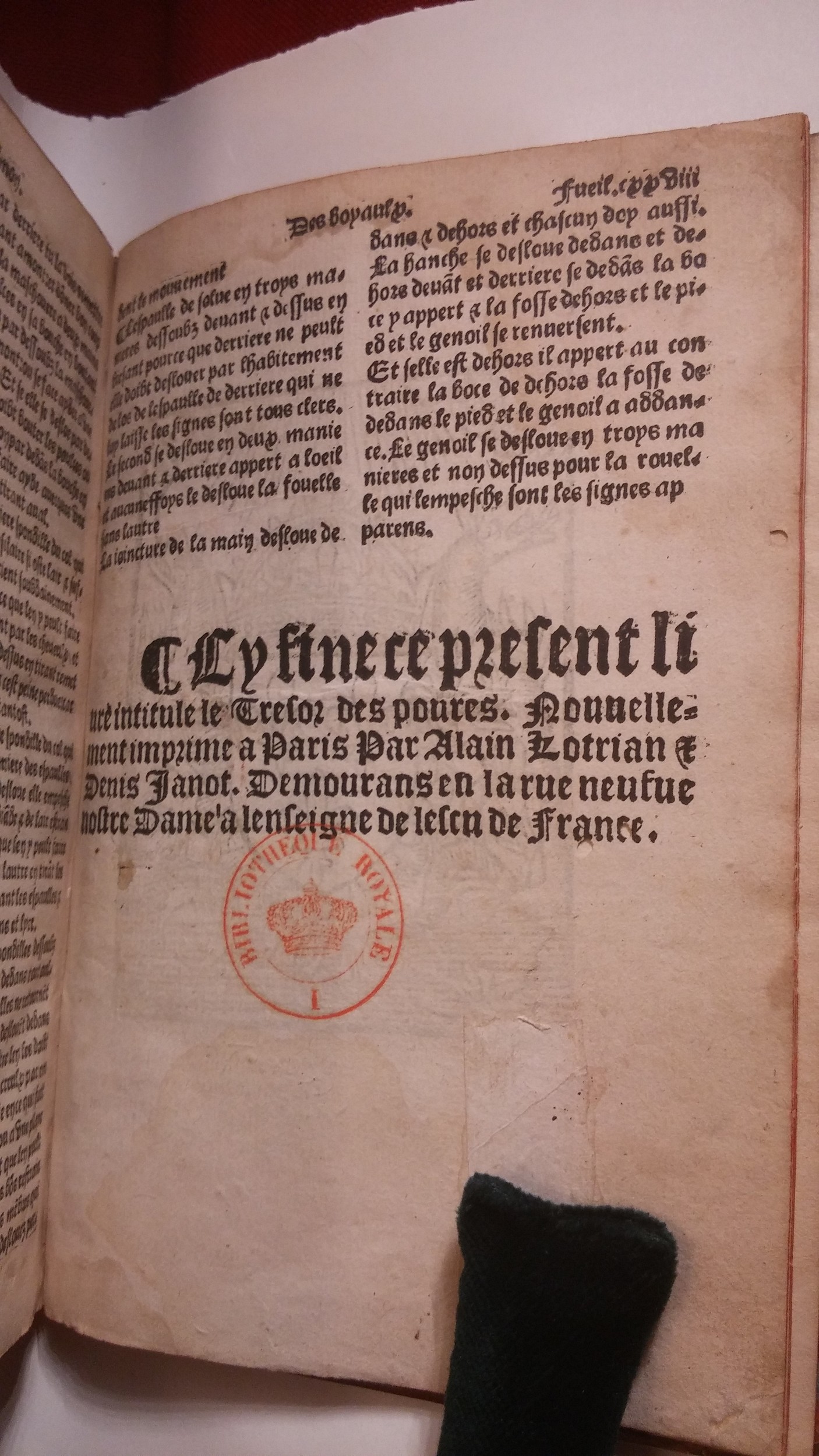 1535c. - Denis Janot et Alain Lotrian - Trésor des pauvres - BnF