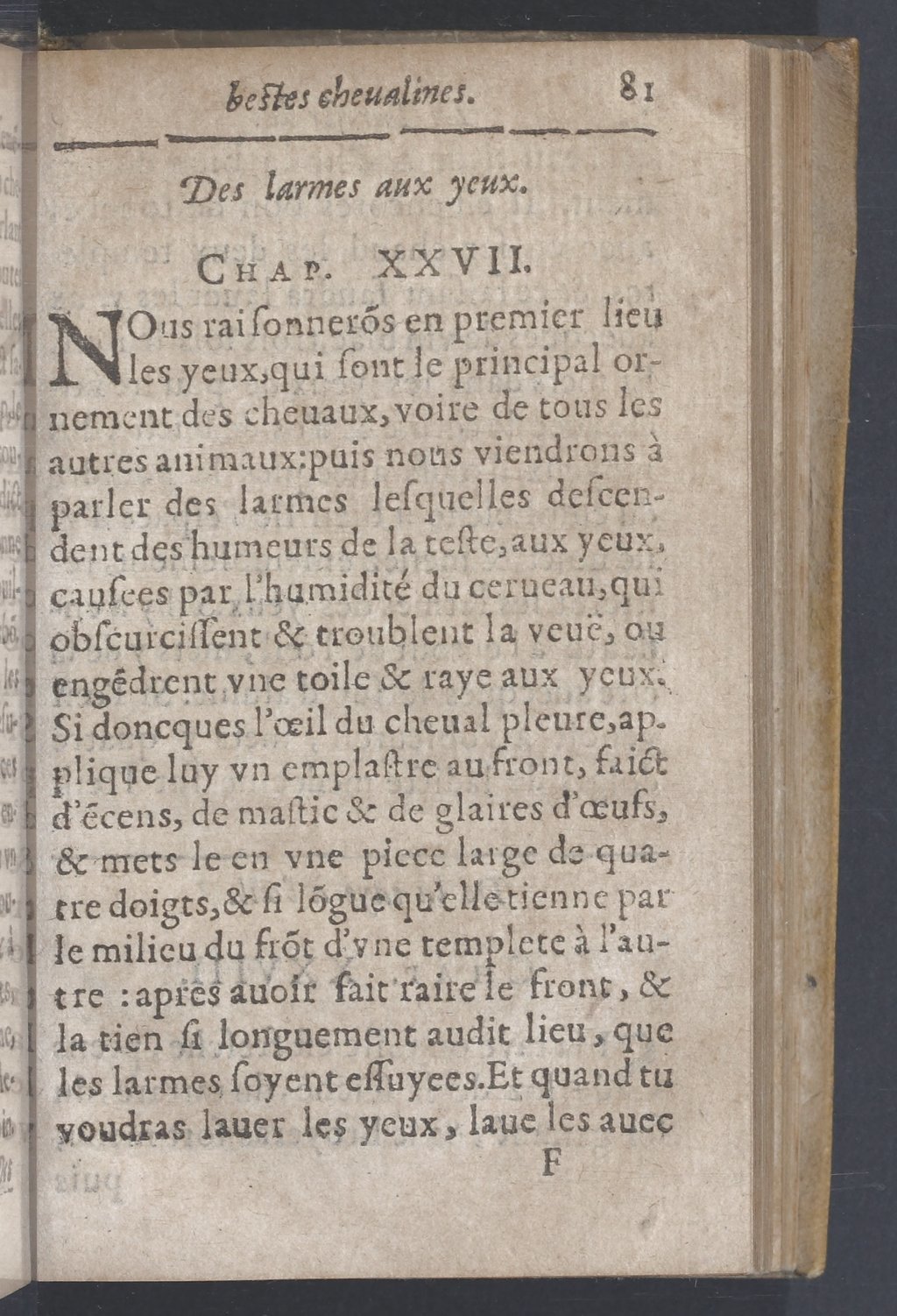 1619 - Pierre Rigaud - Trésor des bêtes chevalines - BnF 1619 - Pierre Rigaud - Trésor des bêtes chevalines - BnF