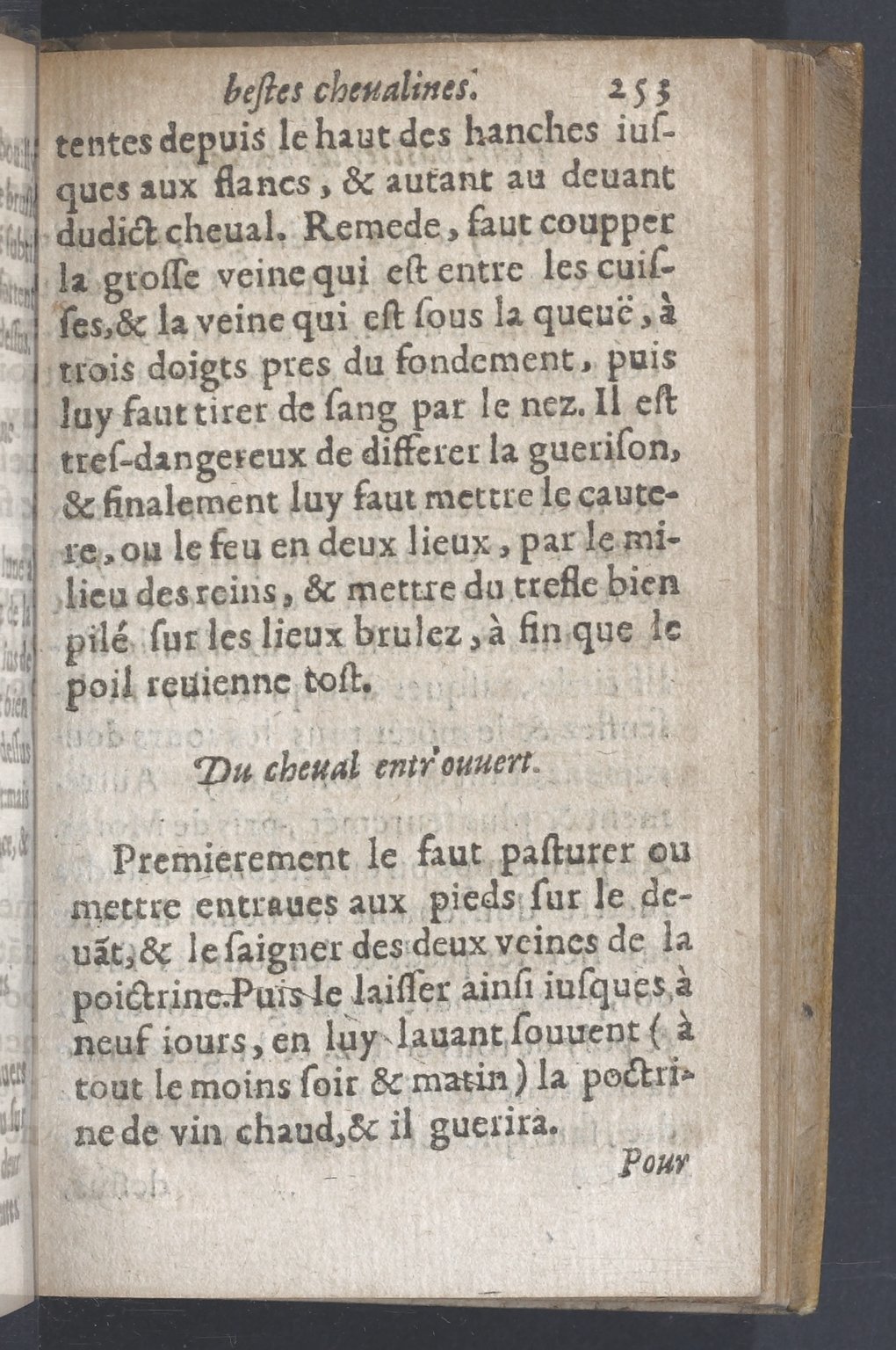 1619 - Pierre Rigaud - Trésor des bêtes chevalines - BnF