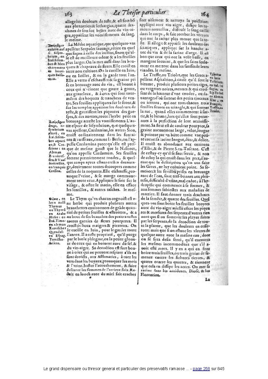 1609 - Étienne Gamonet - Grand dispensaire ou Trésor général et particulier des préservatifs - BIU Santé 1609 - Étienne Gamonet - Grand dispensaire ou Trésor général et particulier des préservatifs - BIU Santé