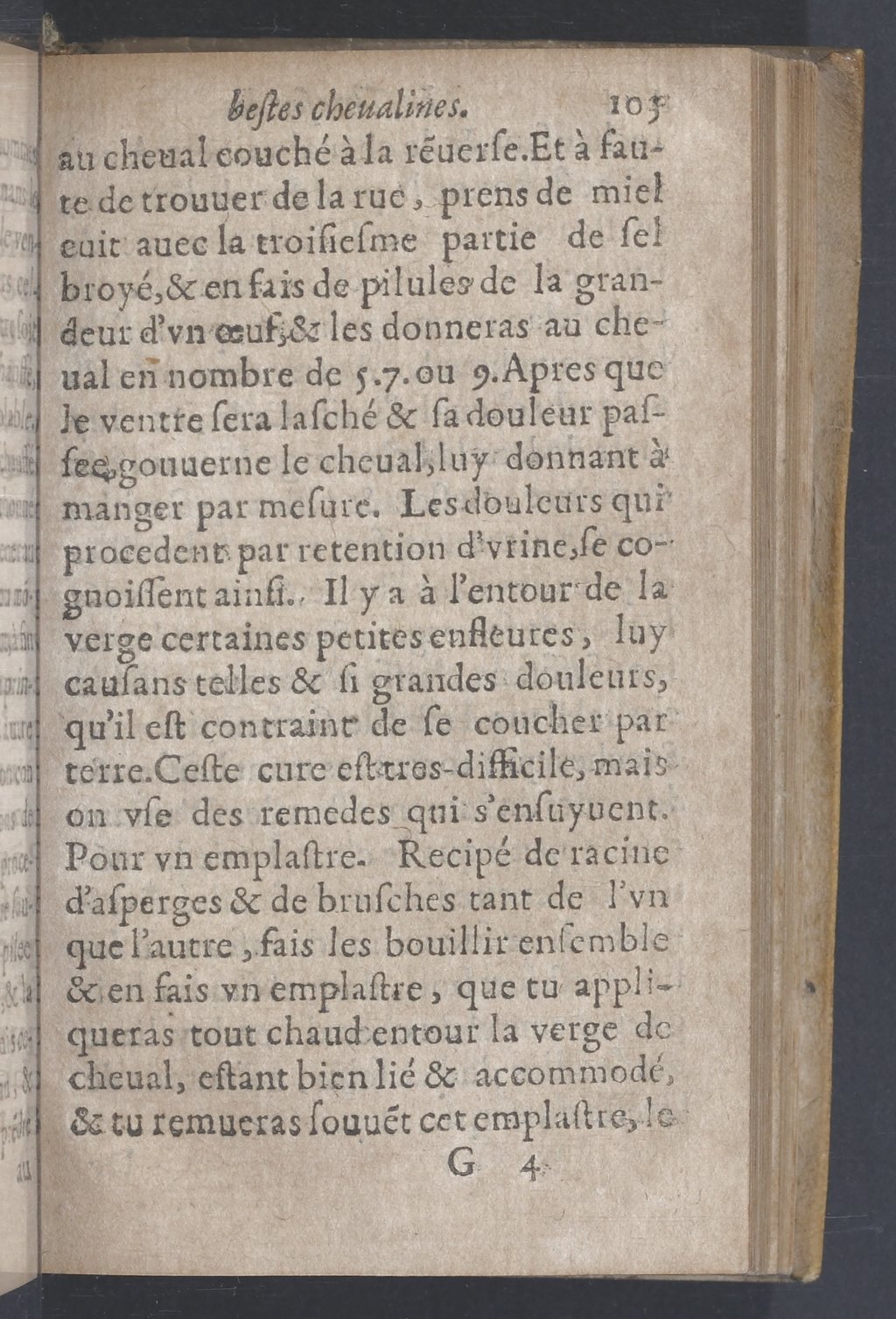 1619 - Pierre Rigaud - Trésor des bêtes chevalines - BnF 1619 - Pierre Rigaud - Trésor des bêtes chevalines - BnF