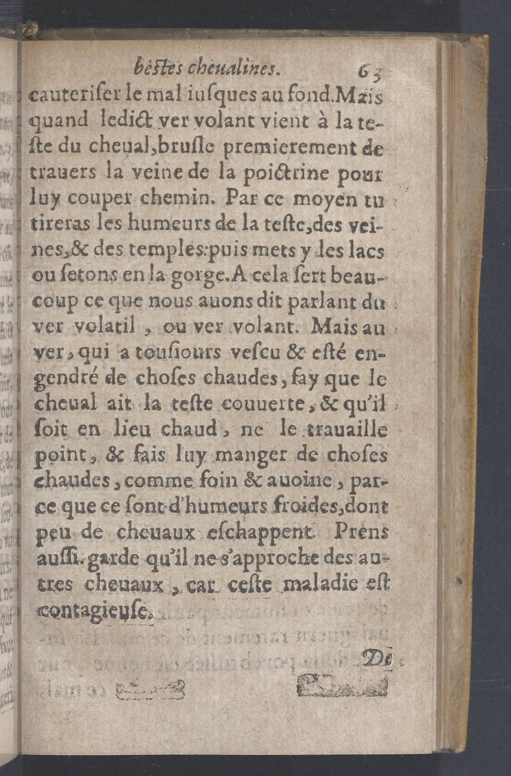 1619 - Pierre Rigaud - Trésor des bêtes chevalines - BnF 1619 - Pierre Rigaud - Trésor des bêtes chevalines - BnF
