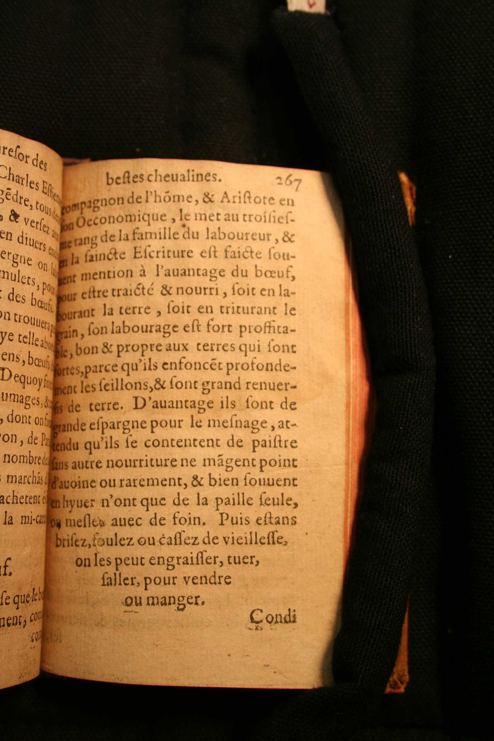 1591 - Pierre Chastaing et Benoît Rigaud - Trésor des bêtes chevalines - BM Bordeaux
