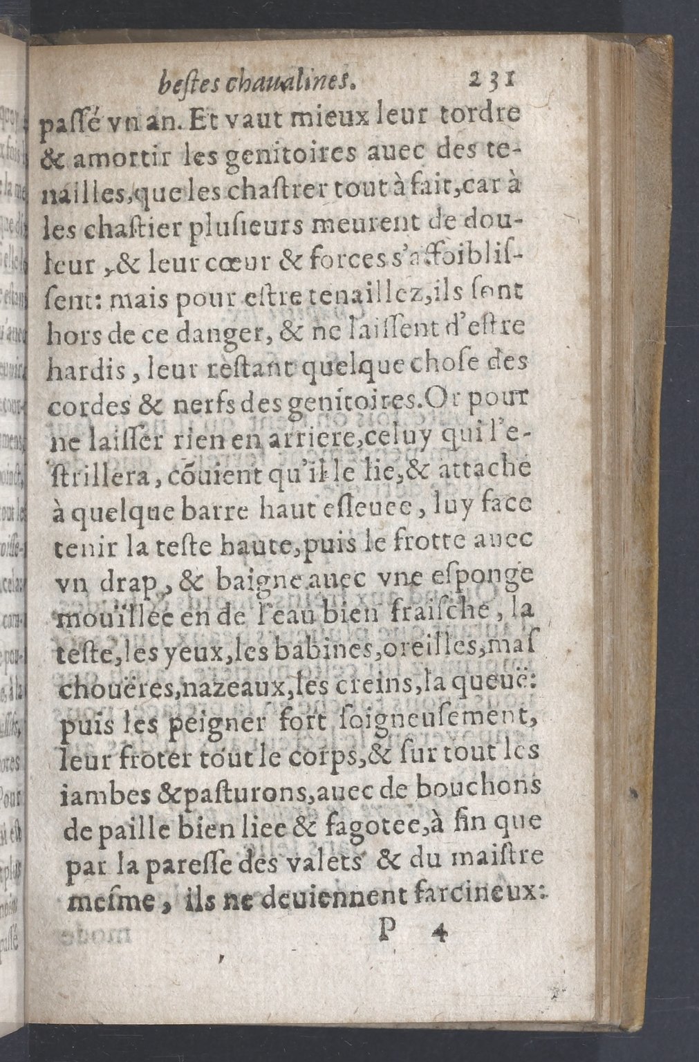 1619 - Pierre Rigaud - Trésor des bêtes chevalines - BnF 1619 - Pierre Rigaud - Trésor des bêtes chevalines - BnF